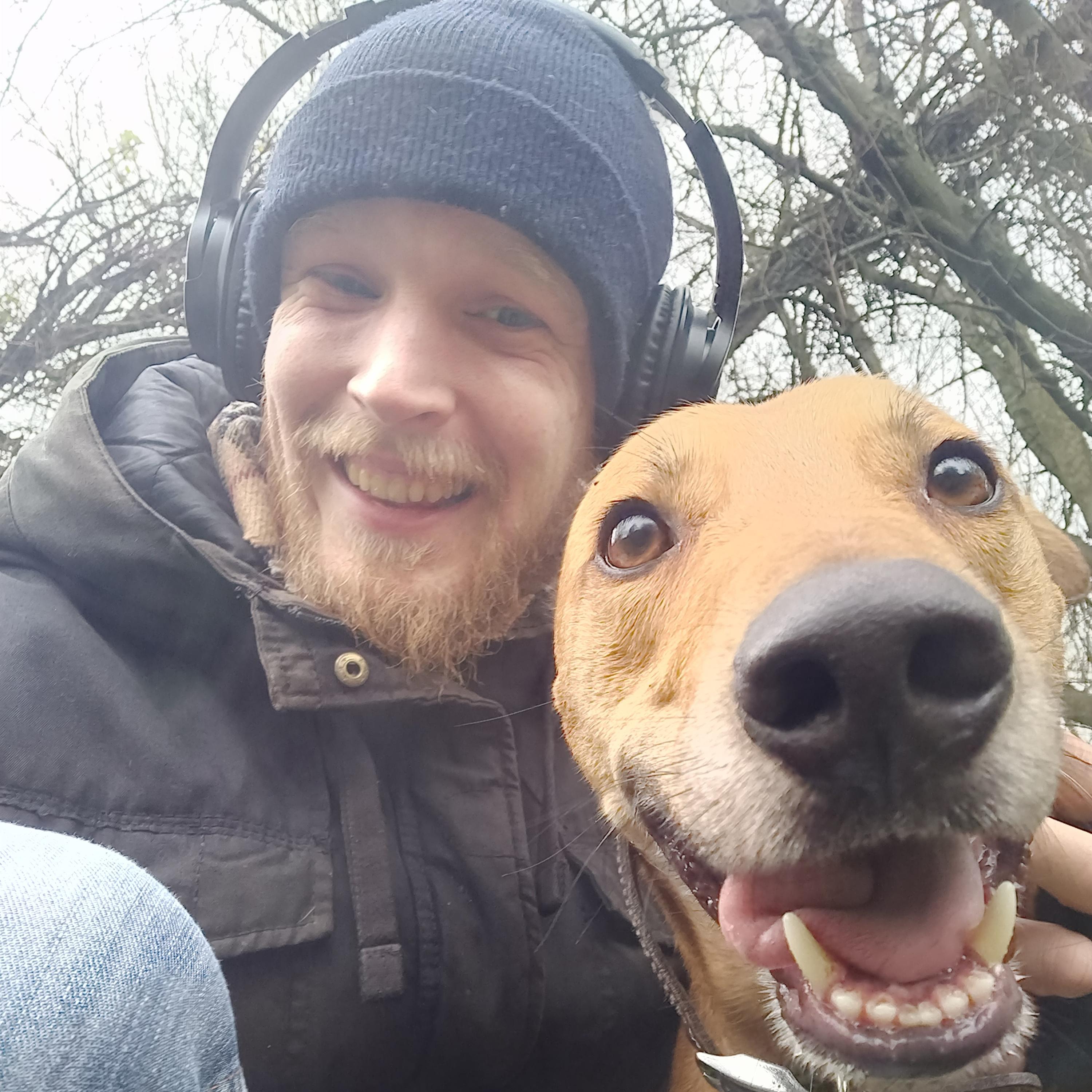 The Dog Walk Rambles