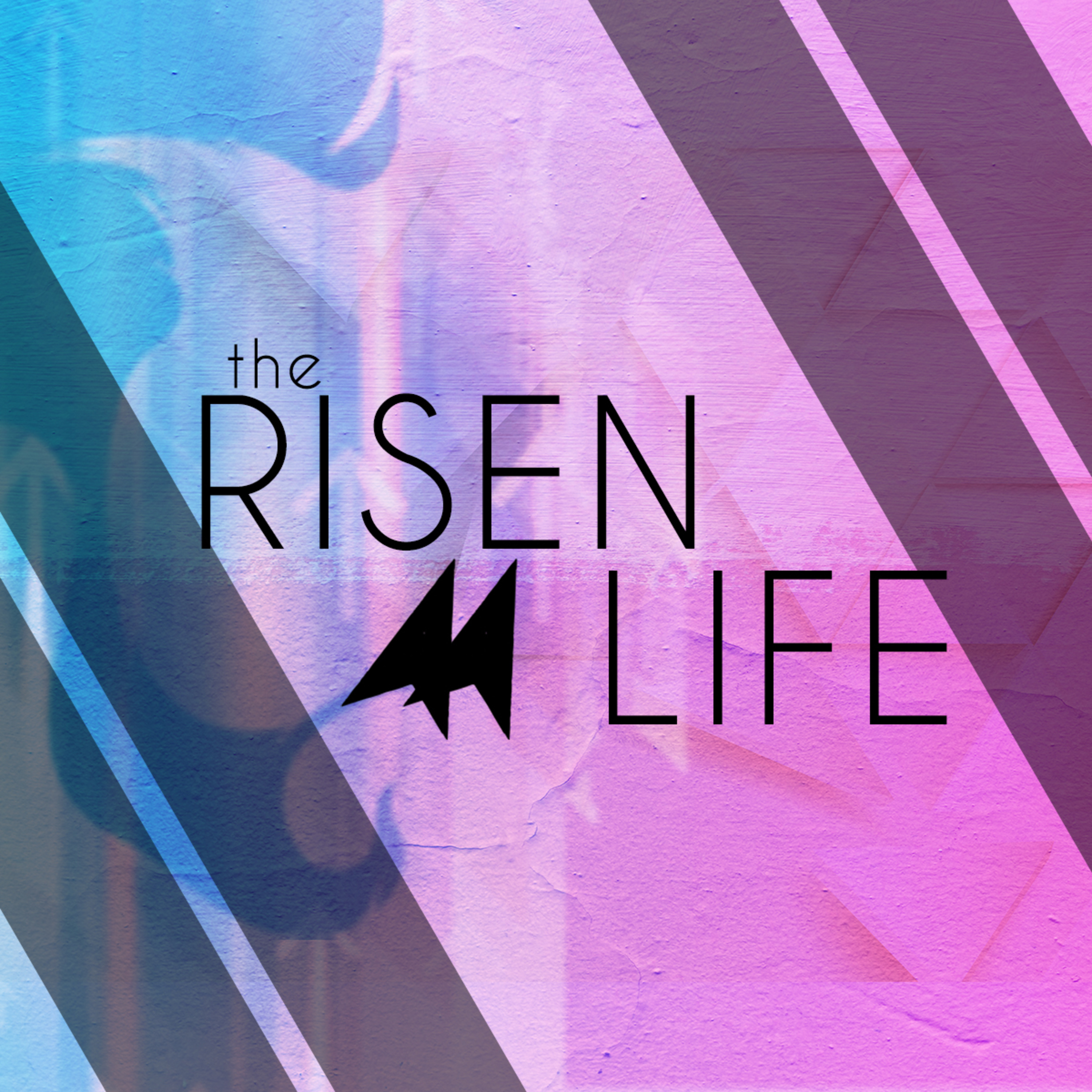White Fields Community Church | A Christian Church in Longmont, Colorado