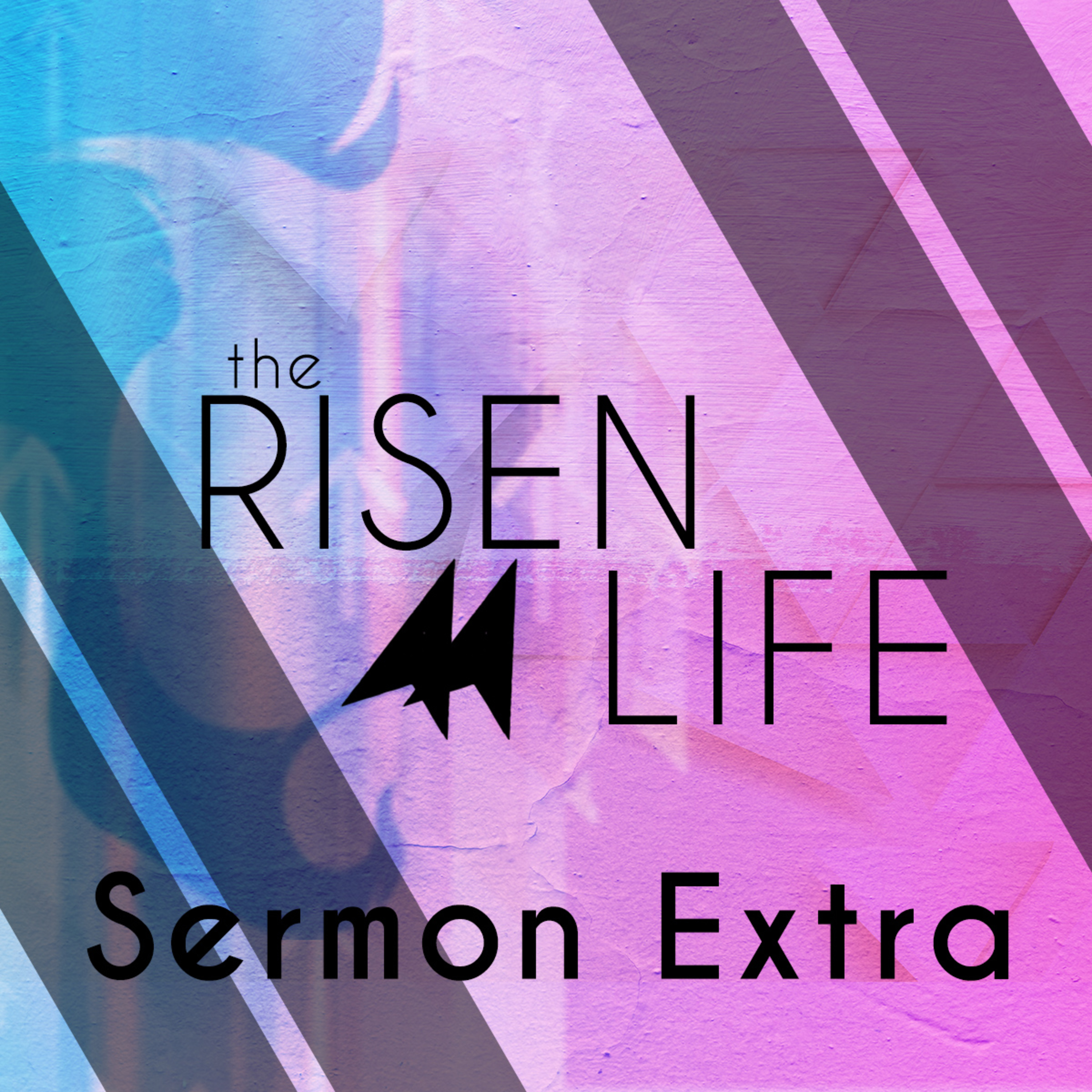 White Fields Community Church | A Christian Church in Longmont, Colorado