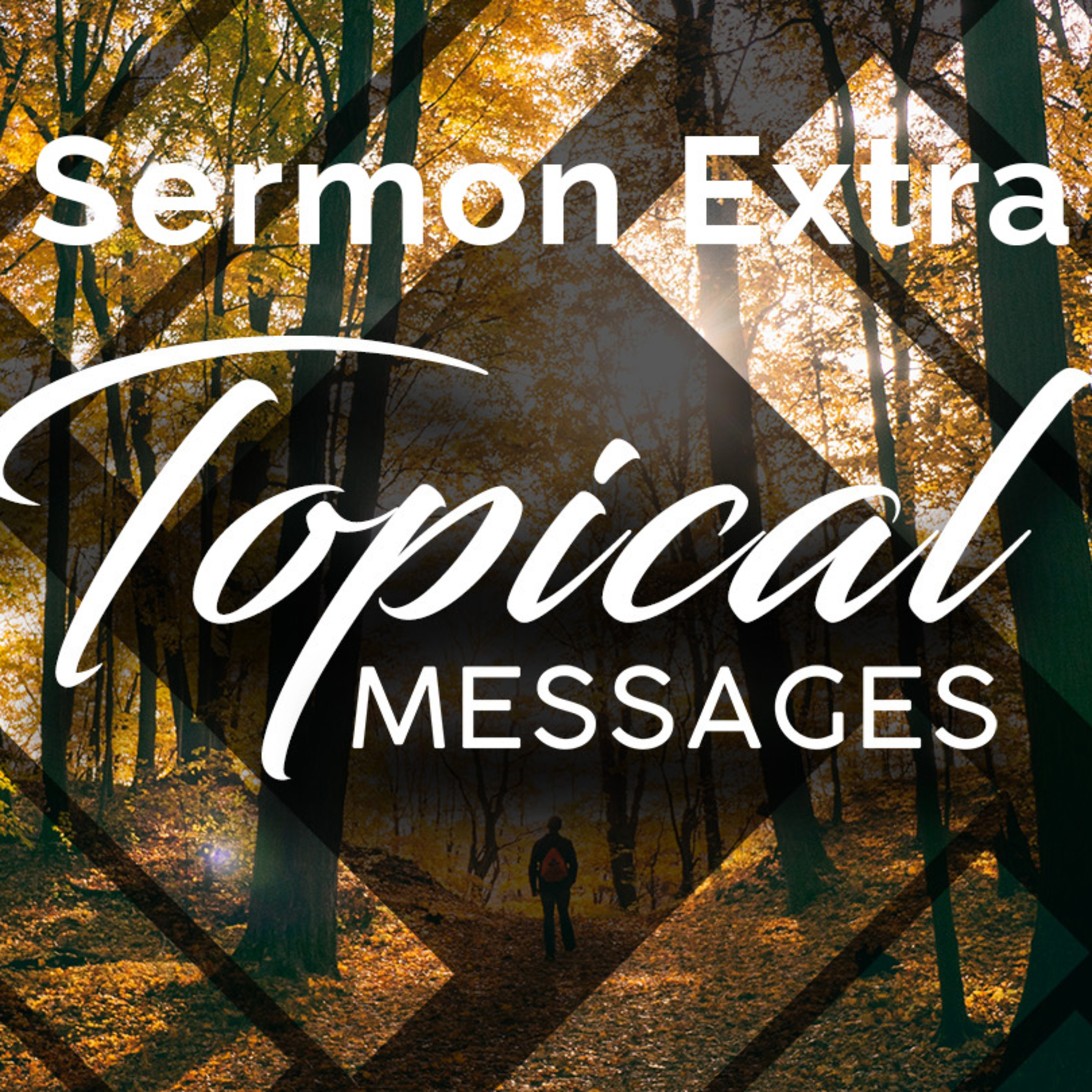 White Fields Community Church | A Christian Church in Longmont, Colorado