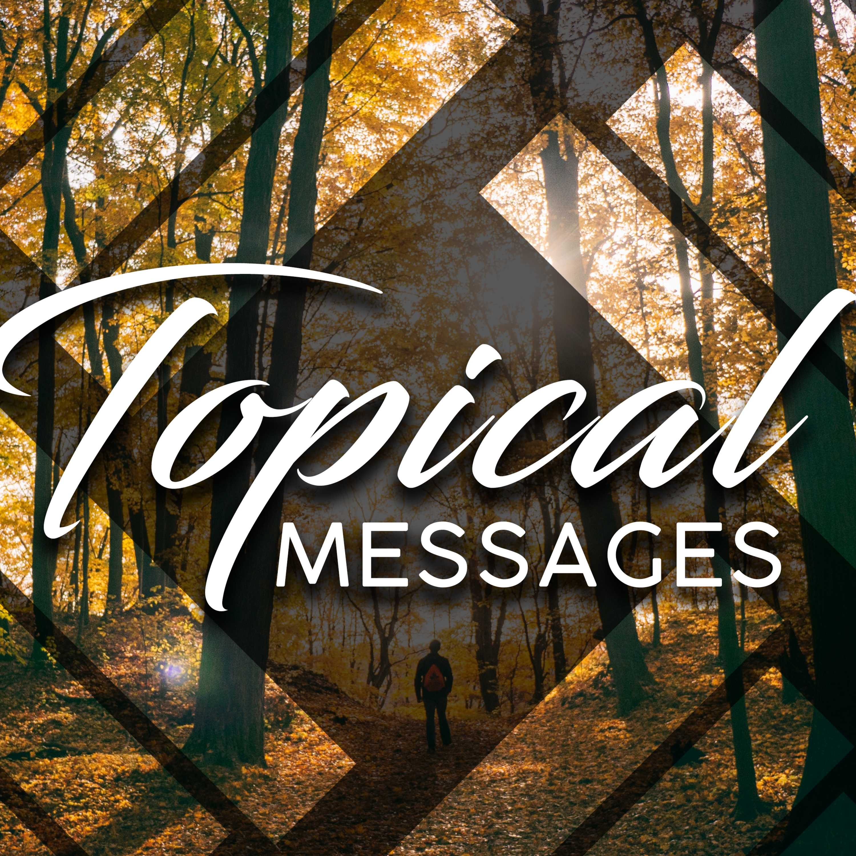 White Fields Community Church | A Christian Church in Longmont, Colorado