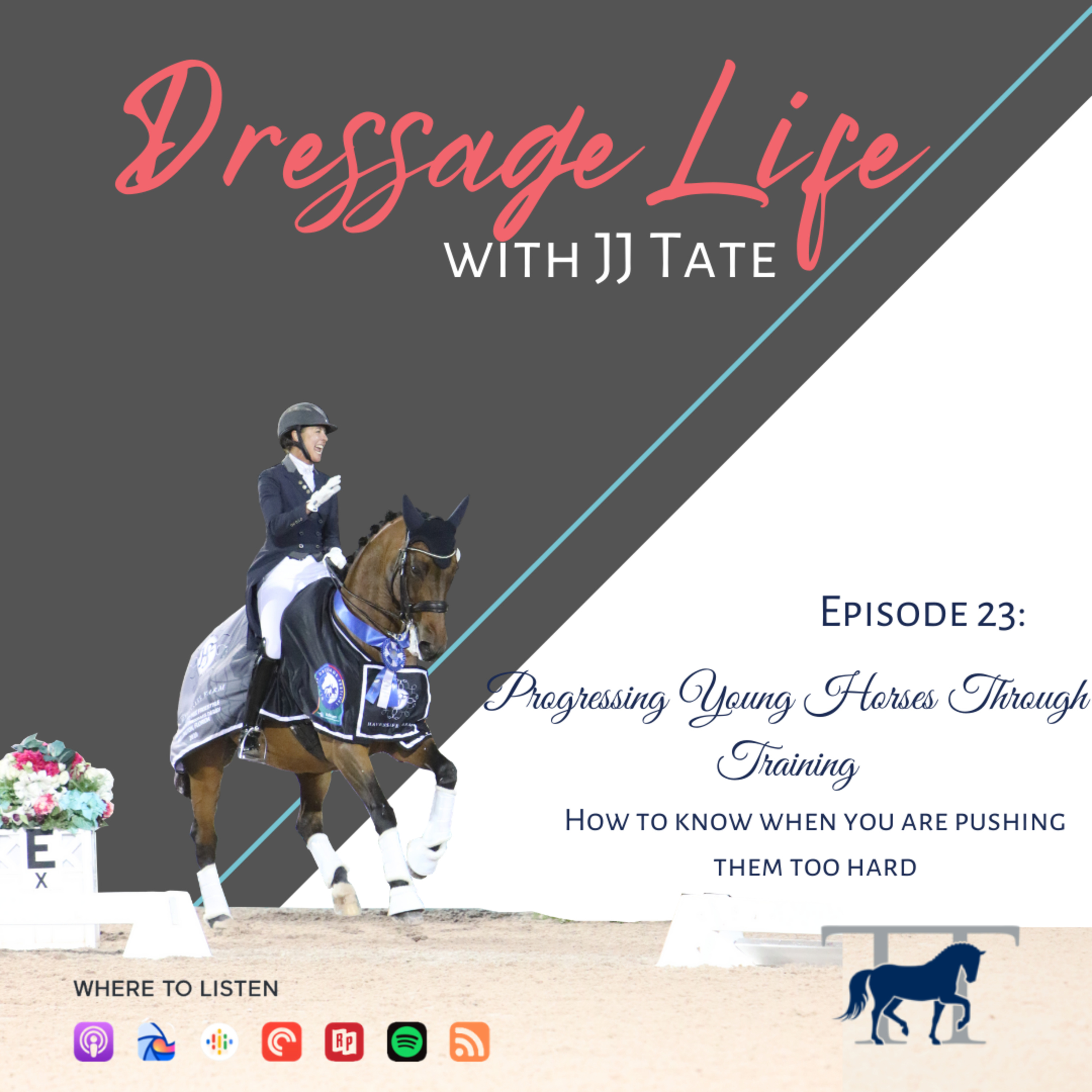 023. Progressing Young Horses Through Training | How to know when you are pushing them too hard episode artwork