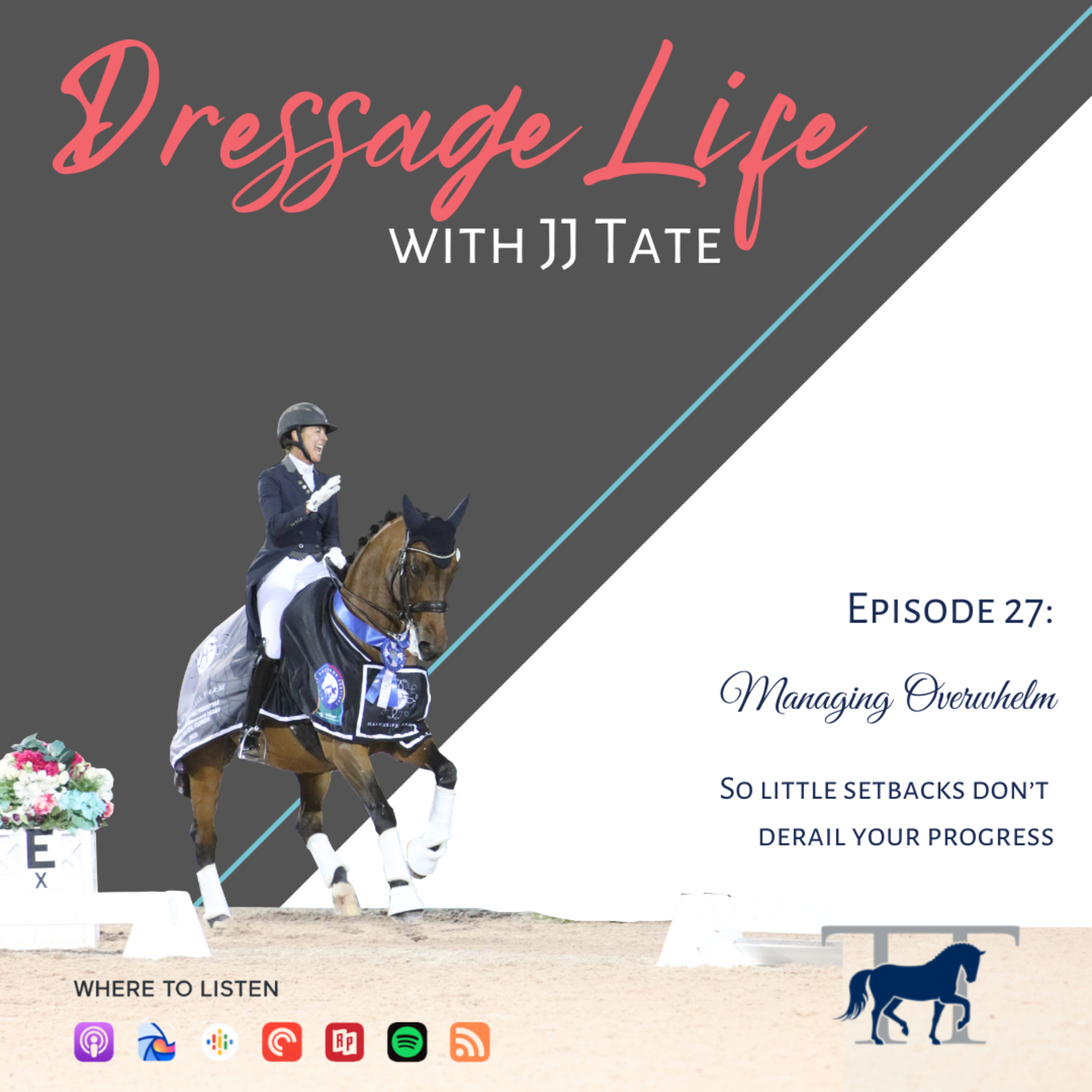 027. Managing Overwhelm | So little setbacks don't derail your progress  episode artwork