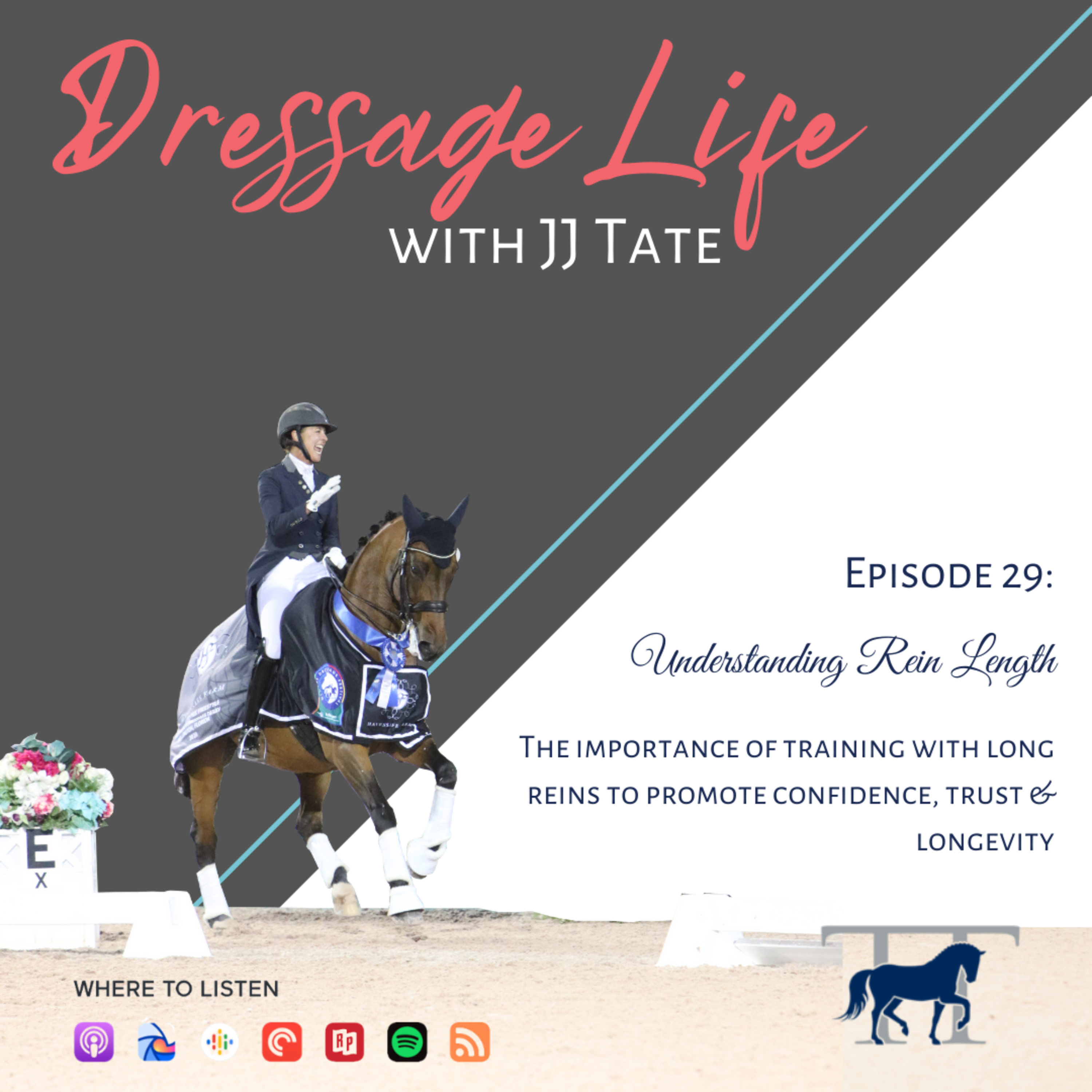 029. Understanding Rein Length | The importance of training with long reins to promote confidence, trust & longevity episode artwork