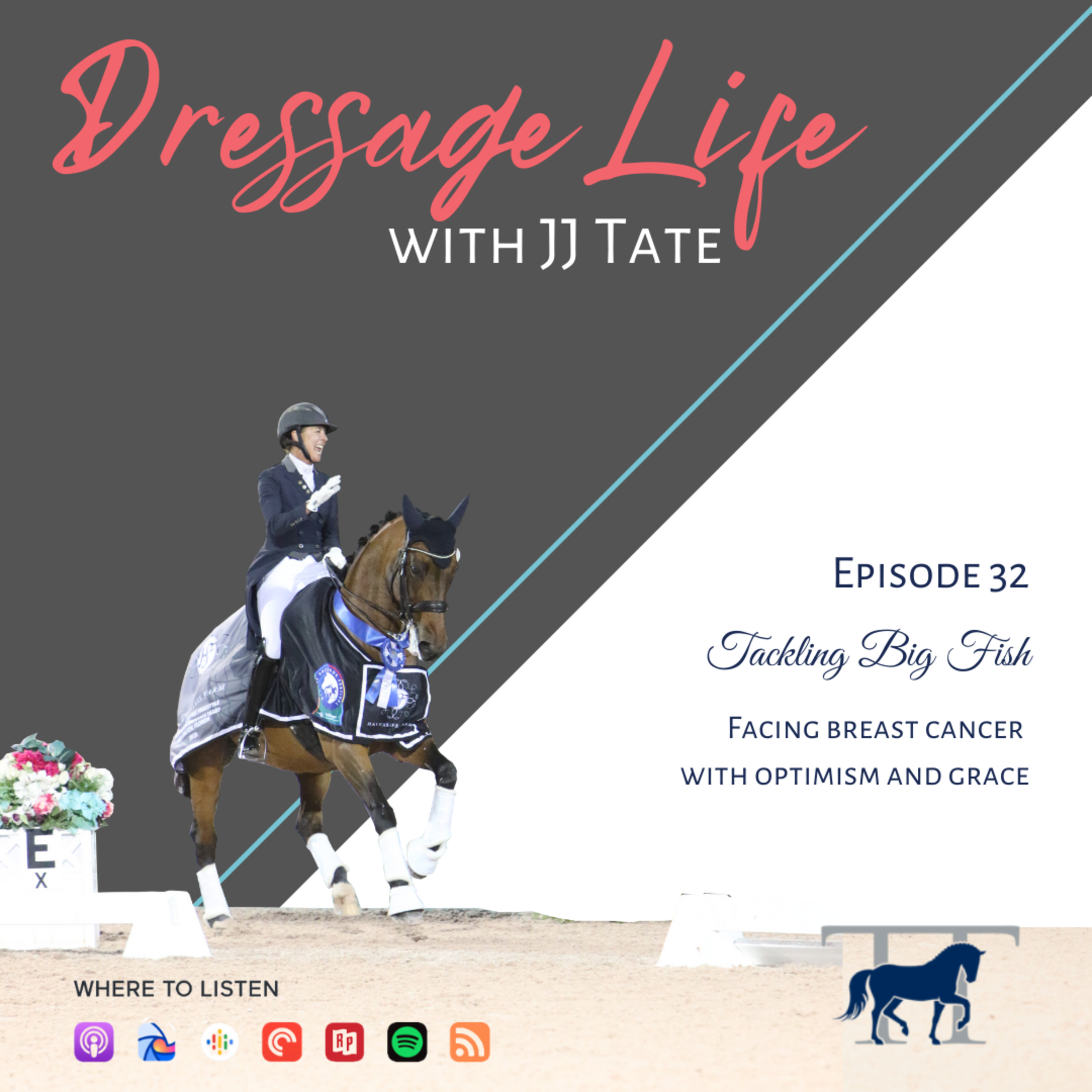 032. Tackling Big Fish | Facing breast cancer with optimism and grace episode artwork