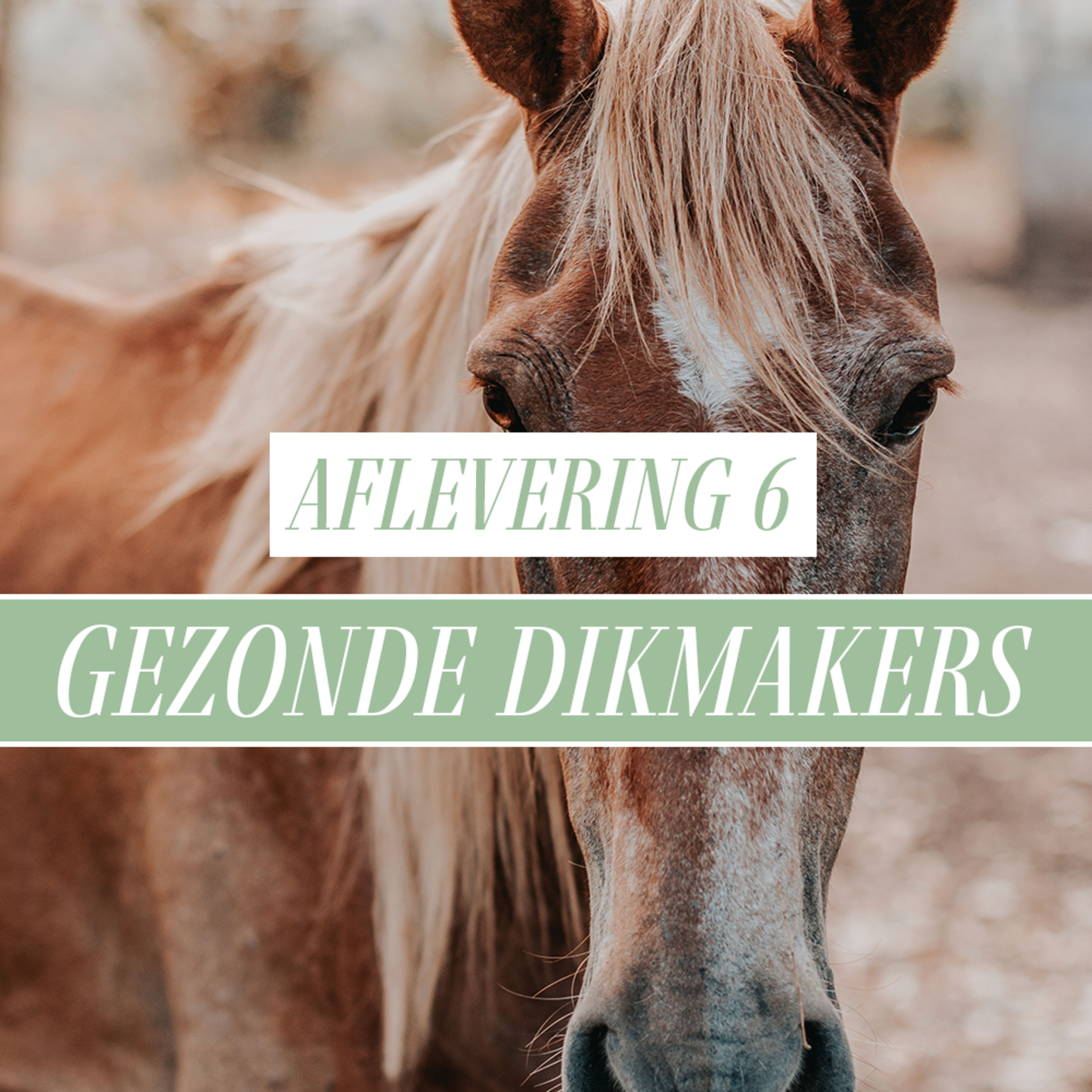 Paard Optimaal Podcast