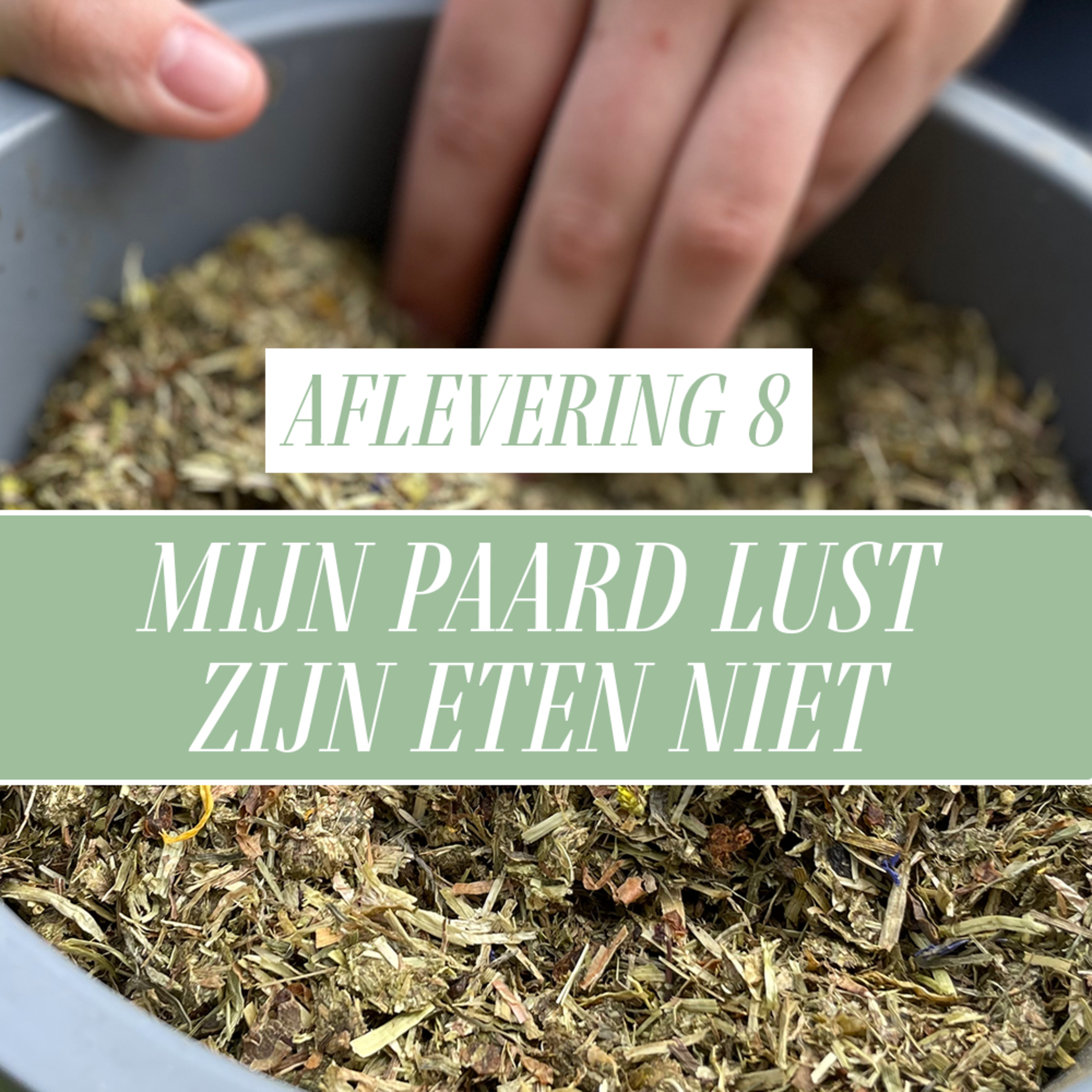 Paard Optimaal Podcast