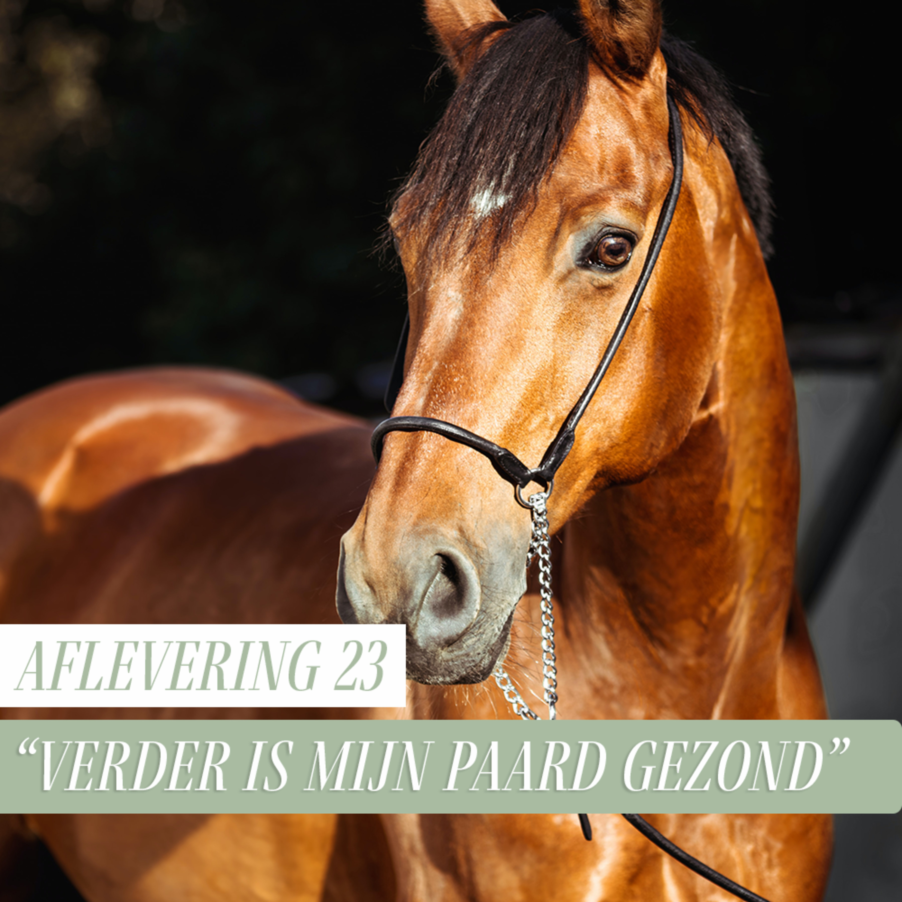 Paard Optimaal Podcast