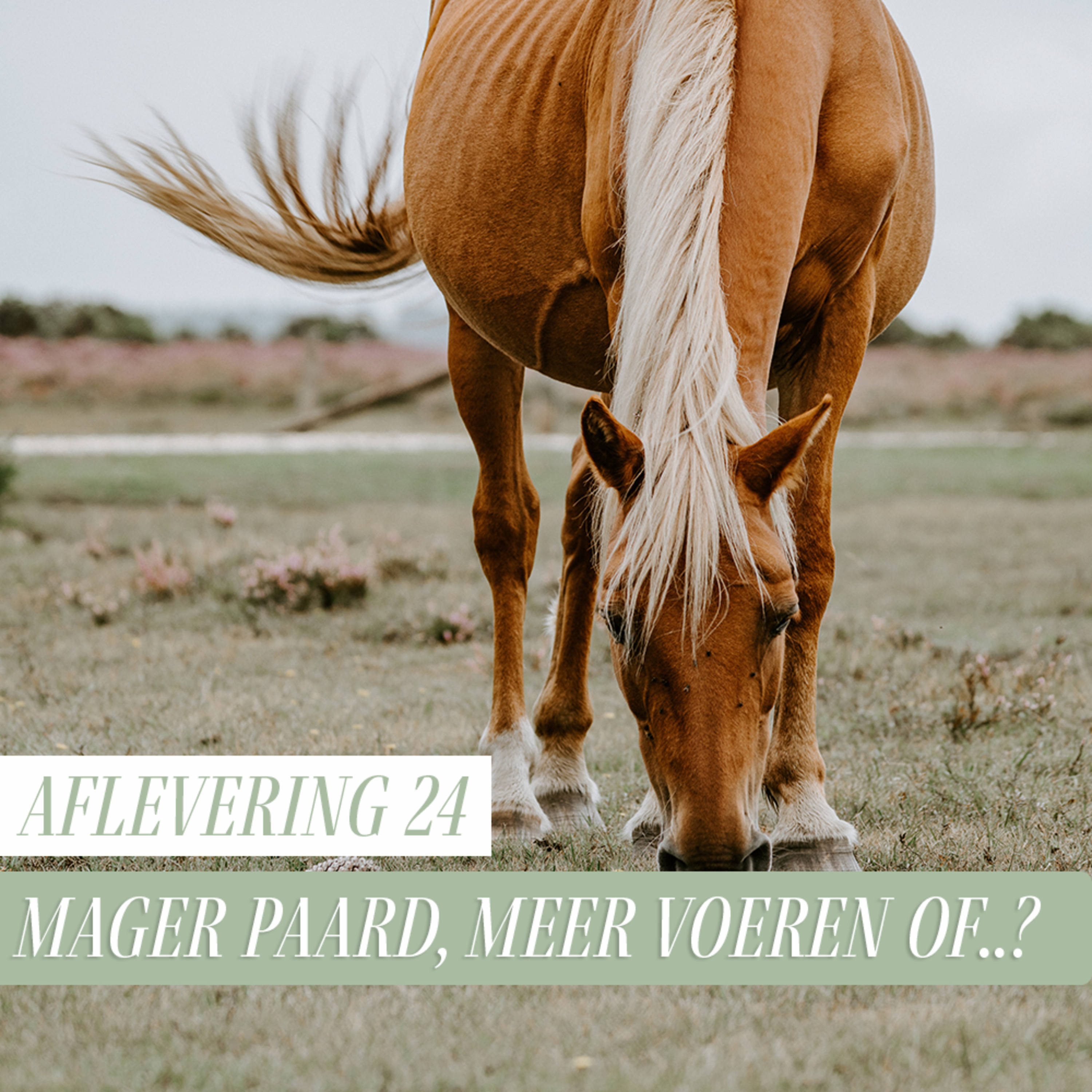 Paard Optimaal Podcast