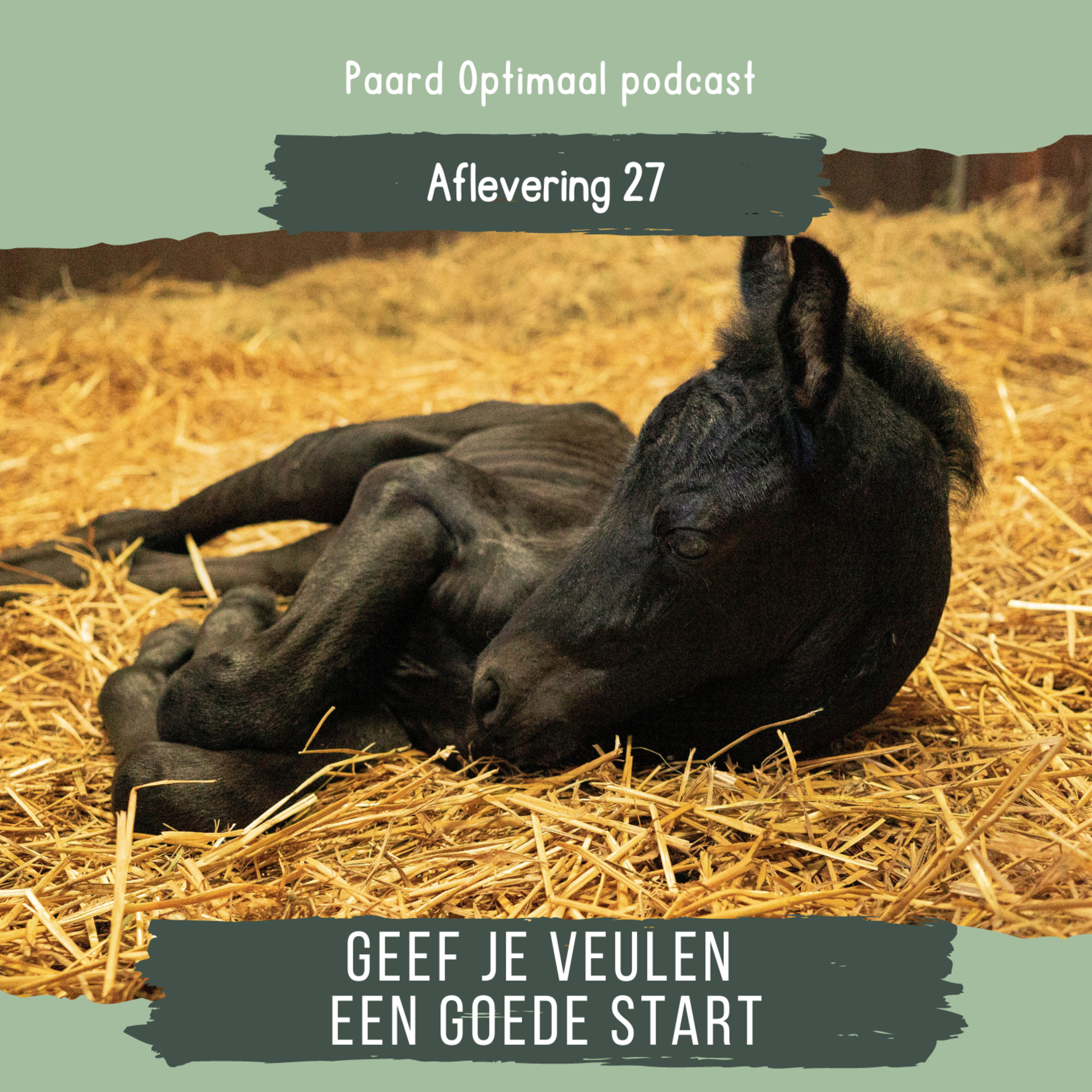 Paard Optimaal Podcast