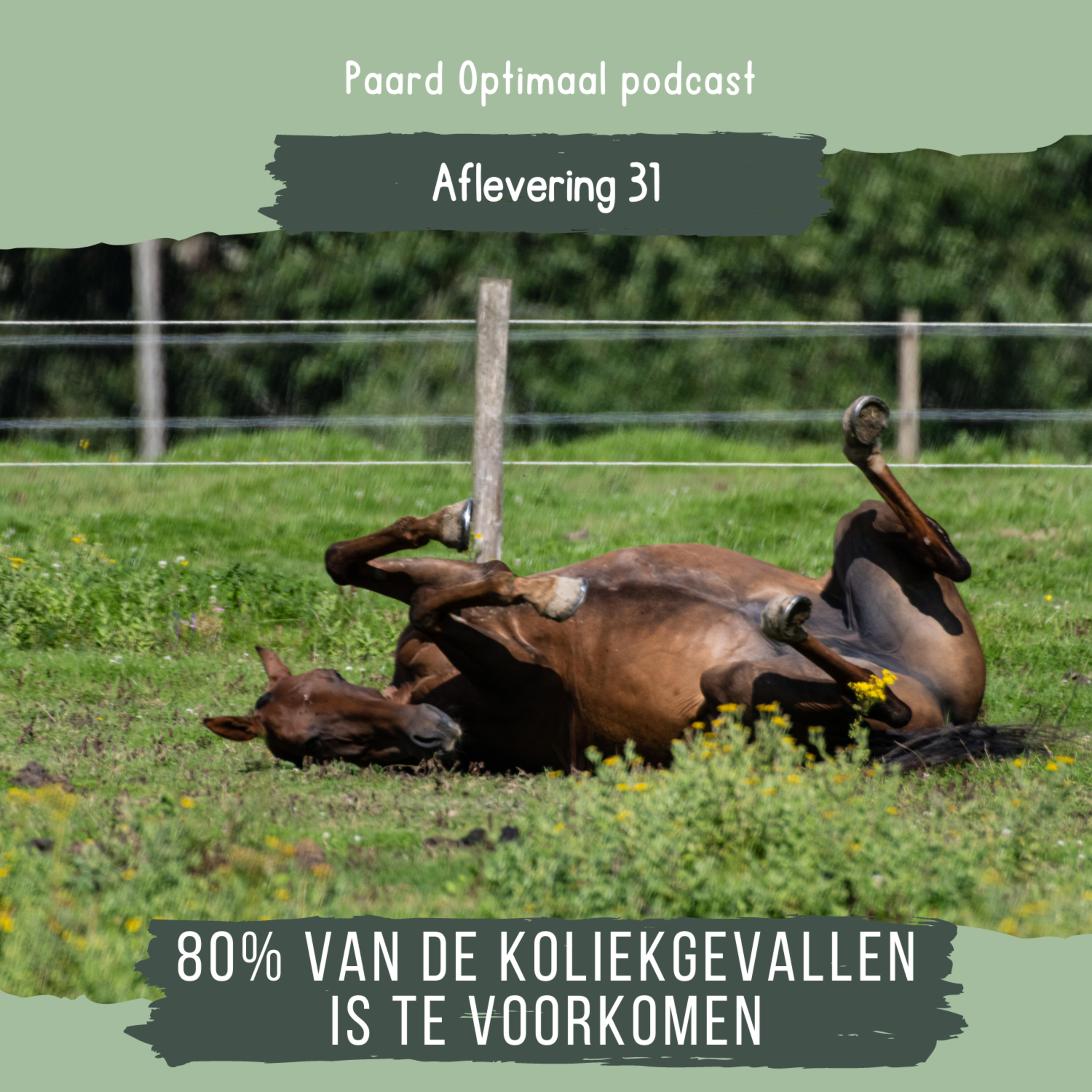 Paard Optimaal Podcast