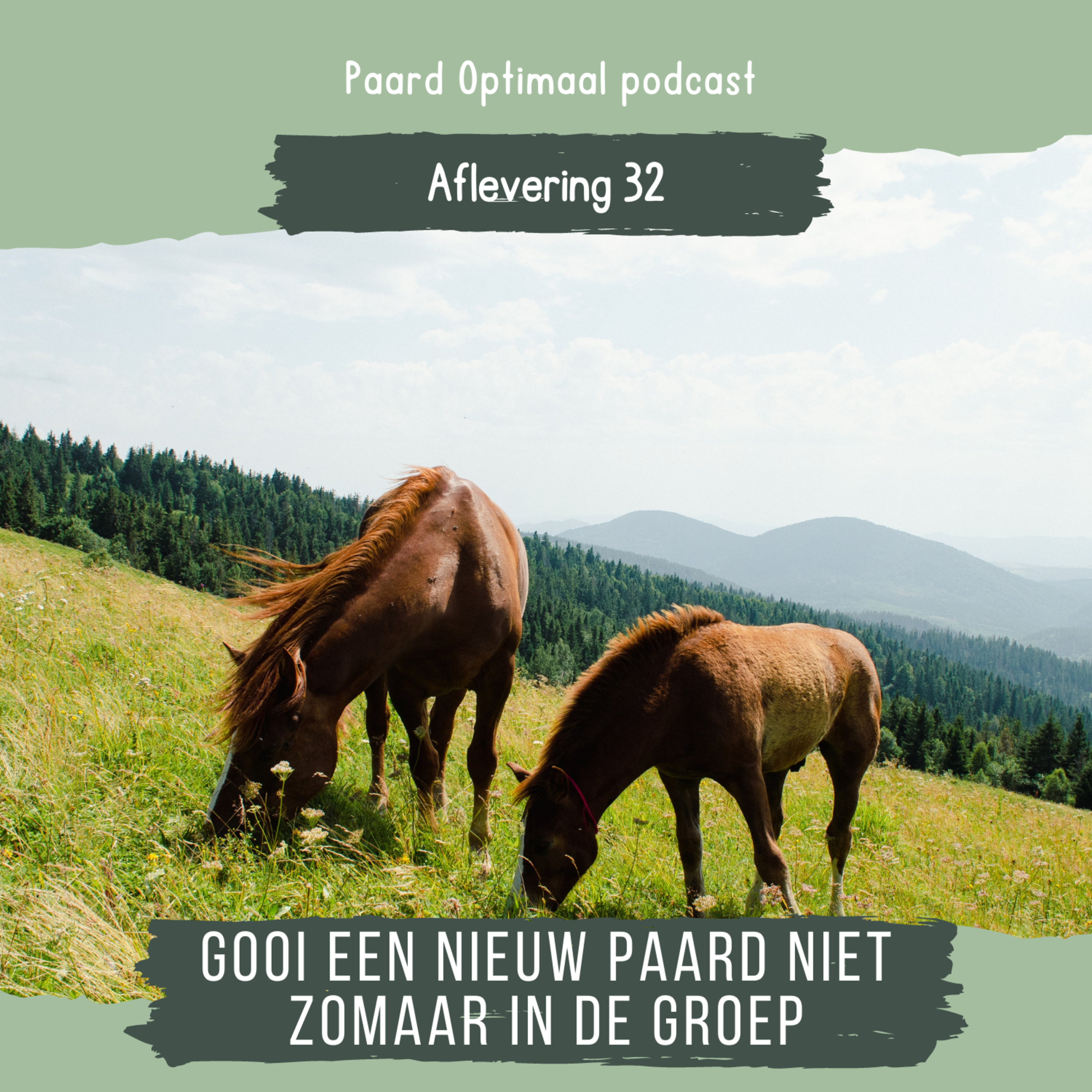 Paard Optimaal Podcast