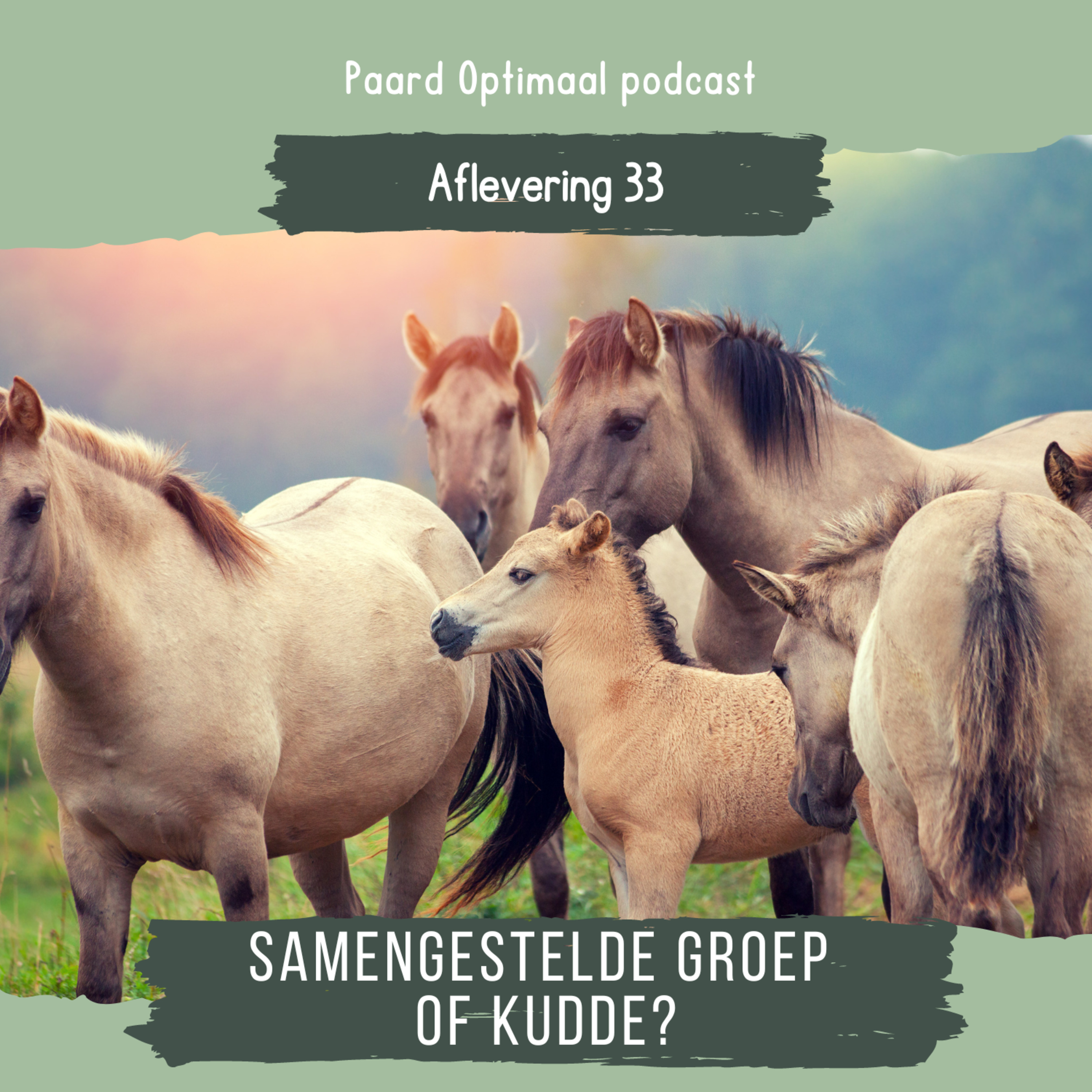 Paard Optimaal Podcast