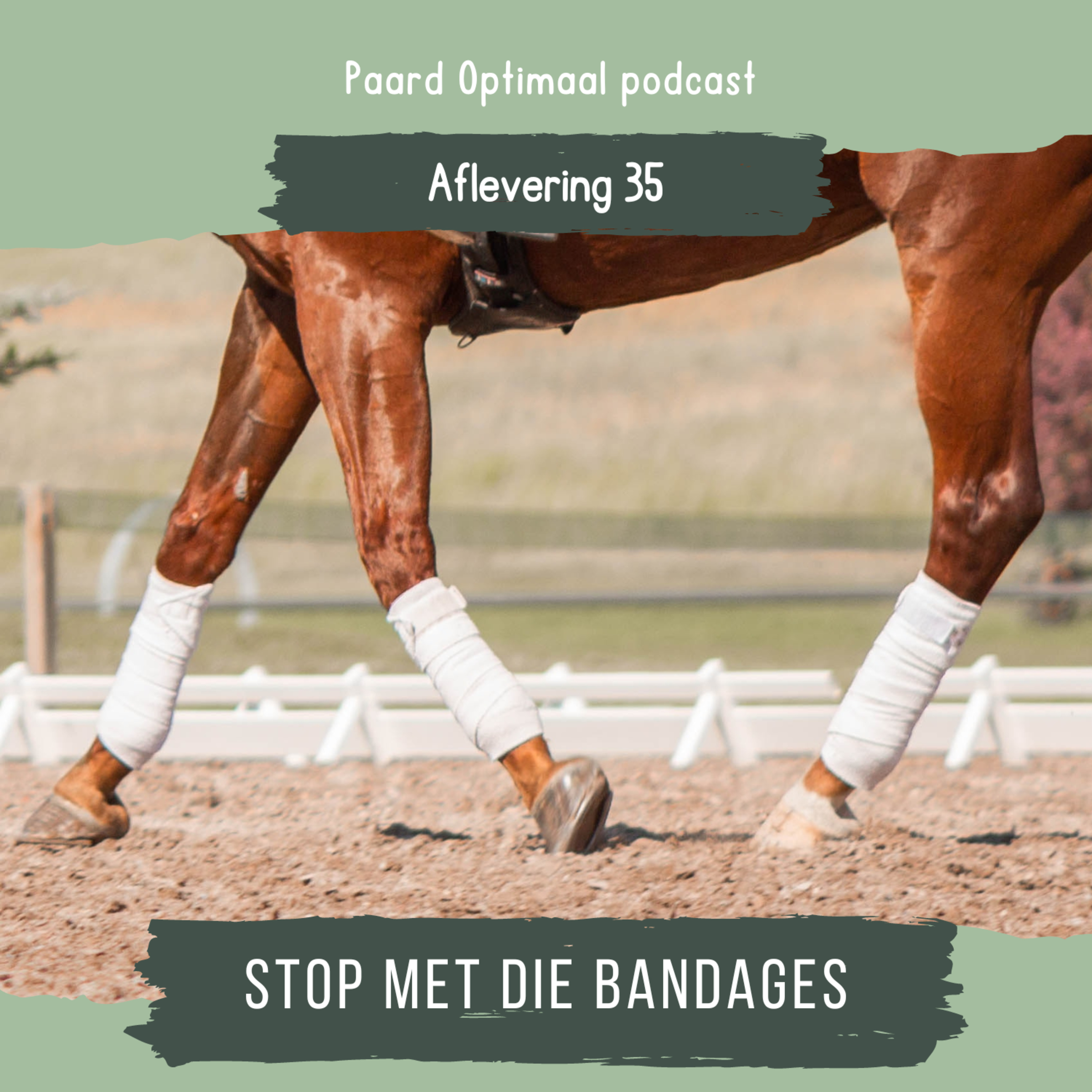 Paard Optimaal Podcast