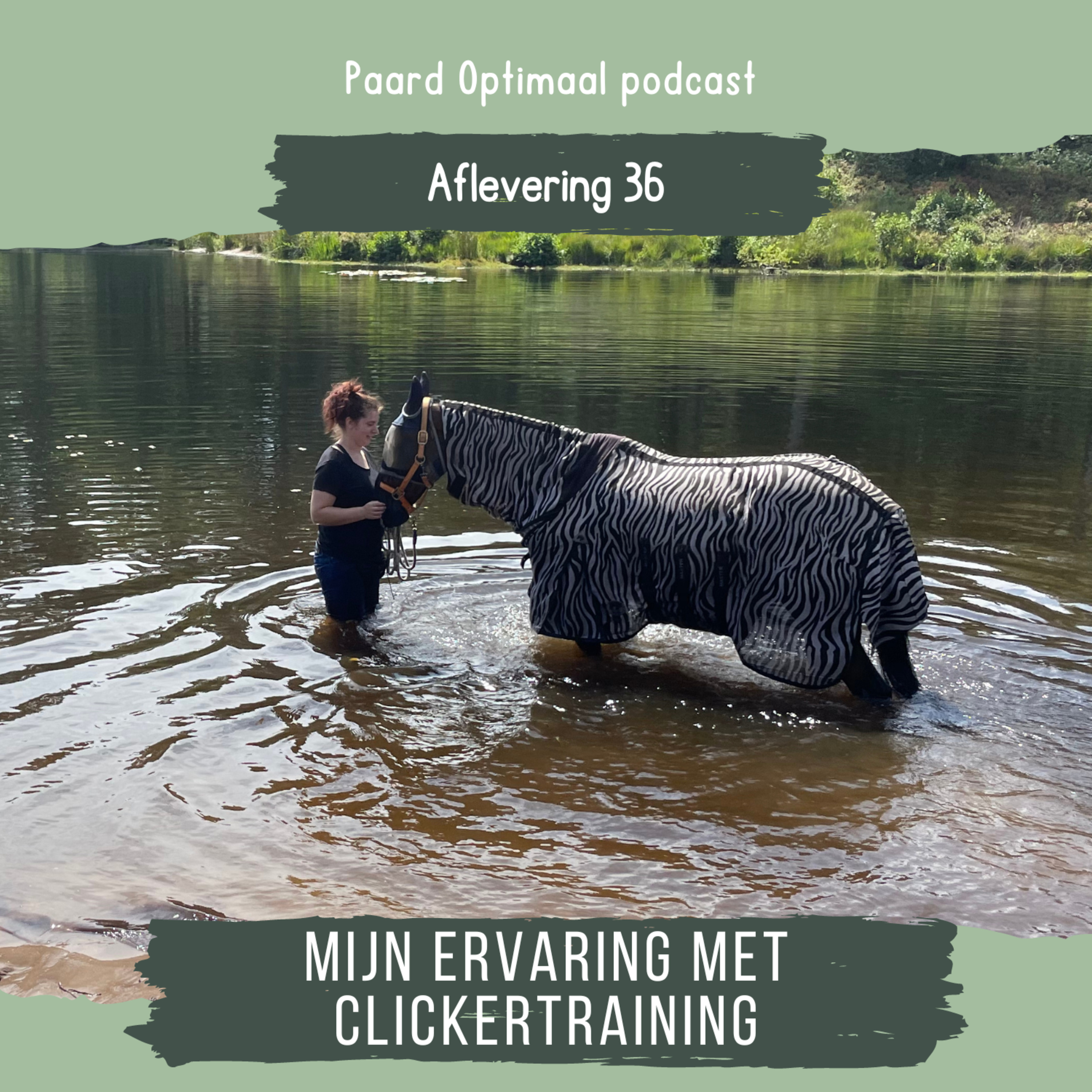 Paard Optimaal Podcast
