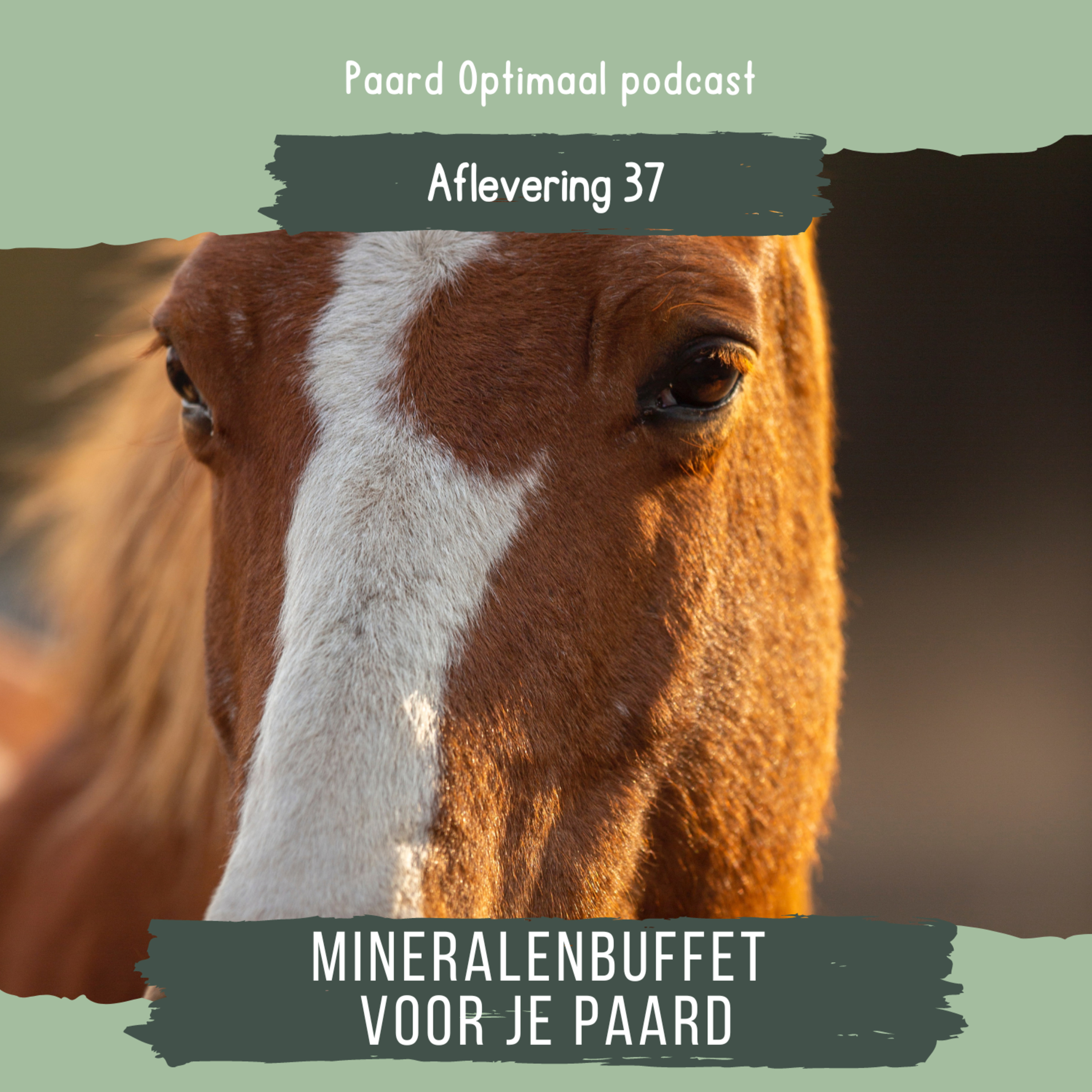 Paard Optimaal Podcast