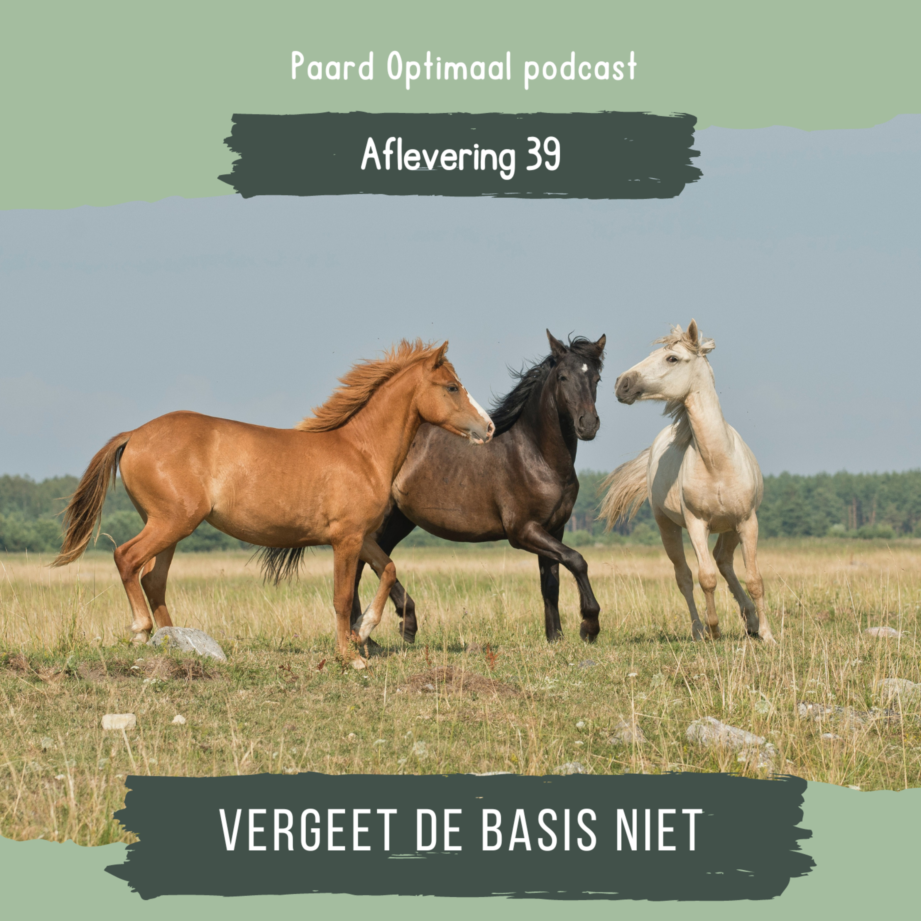Paard Optimaal Podcast