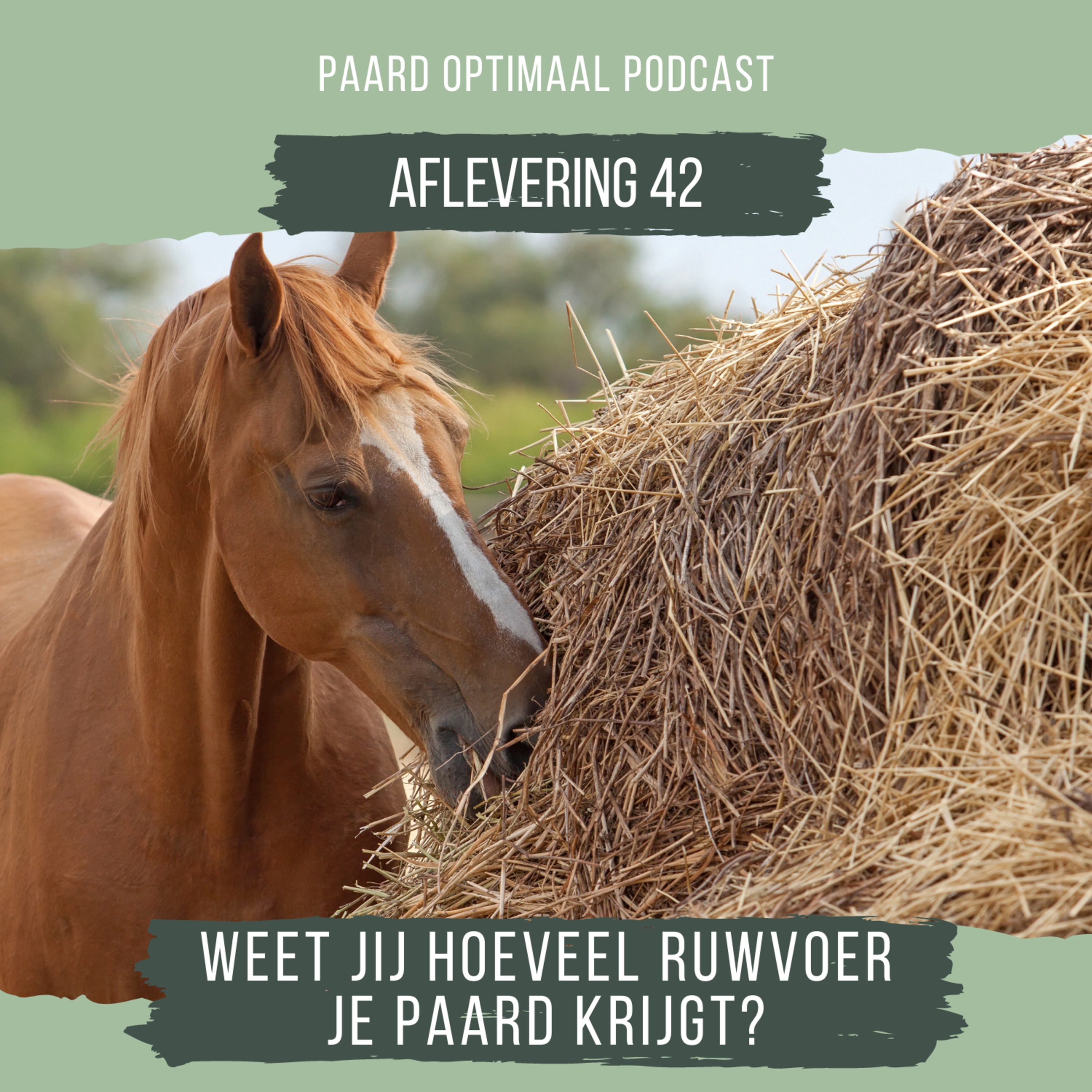 Paard Optimaal Podcast