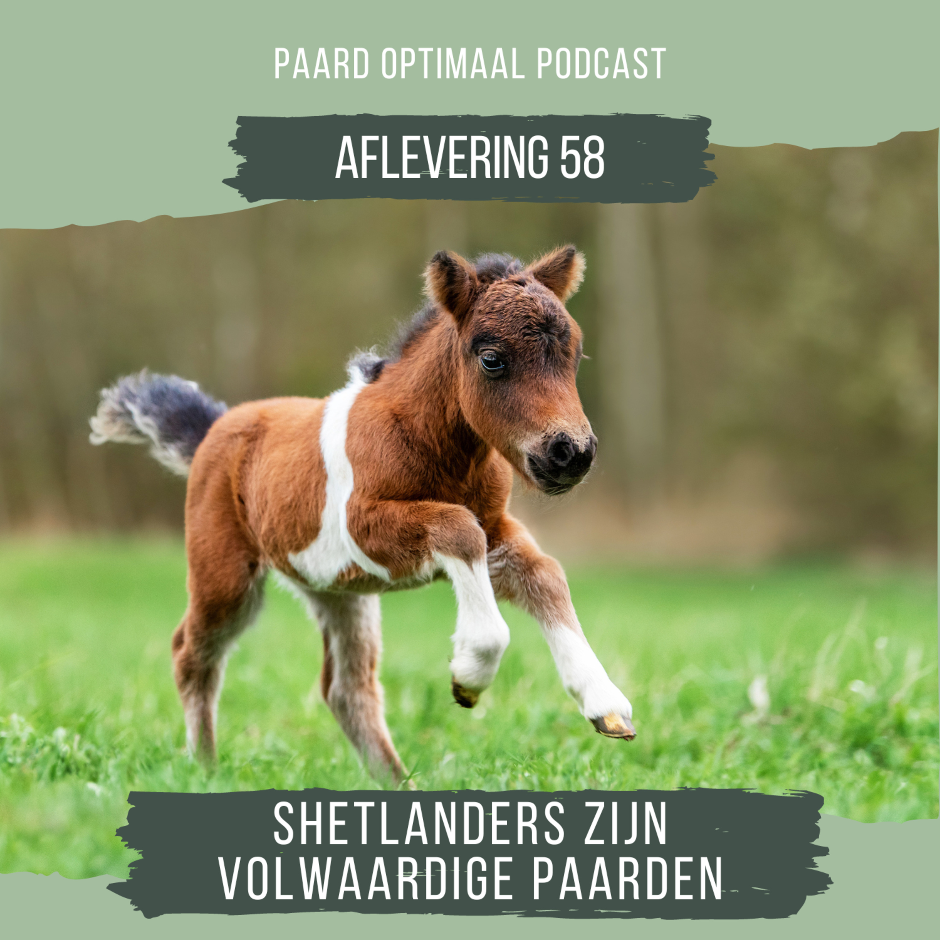 Paard Optimaal Podcast