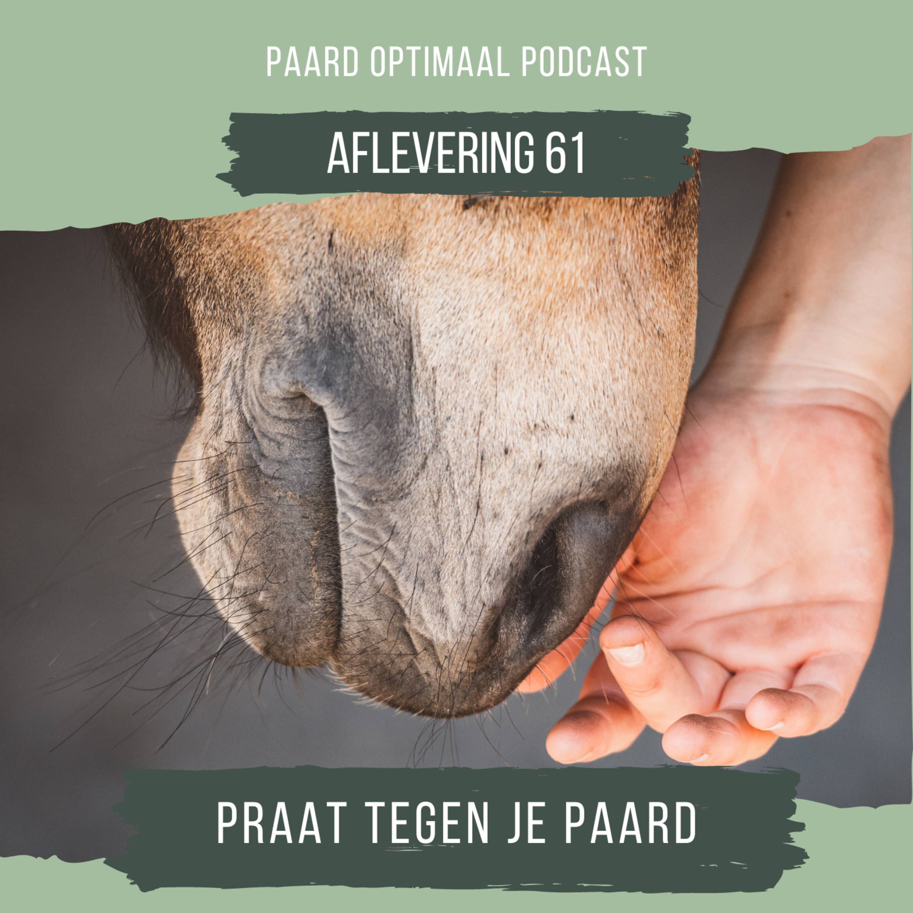 Paard Optimaal Podcast
