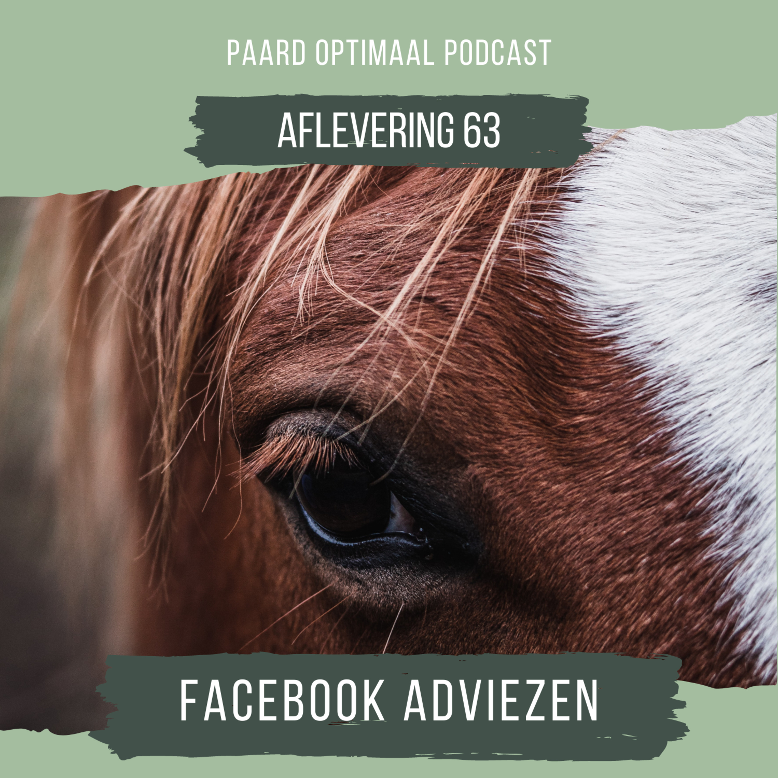 Paard Optimaal Podcast
