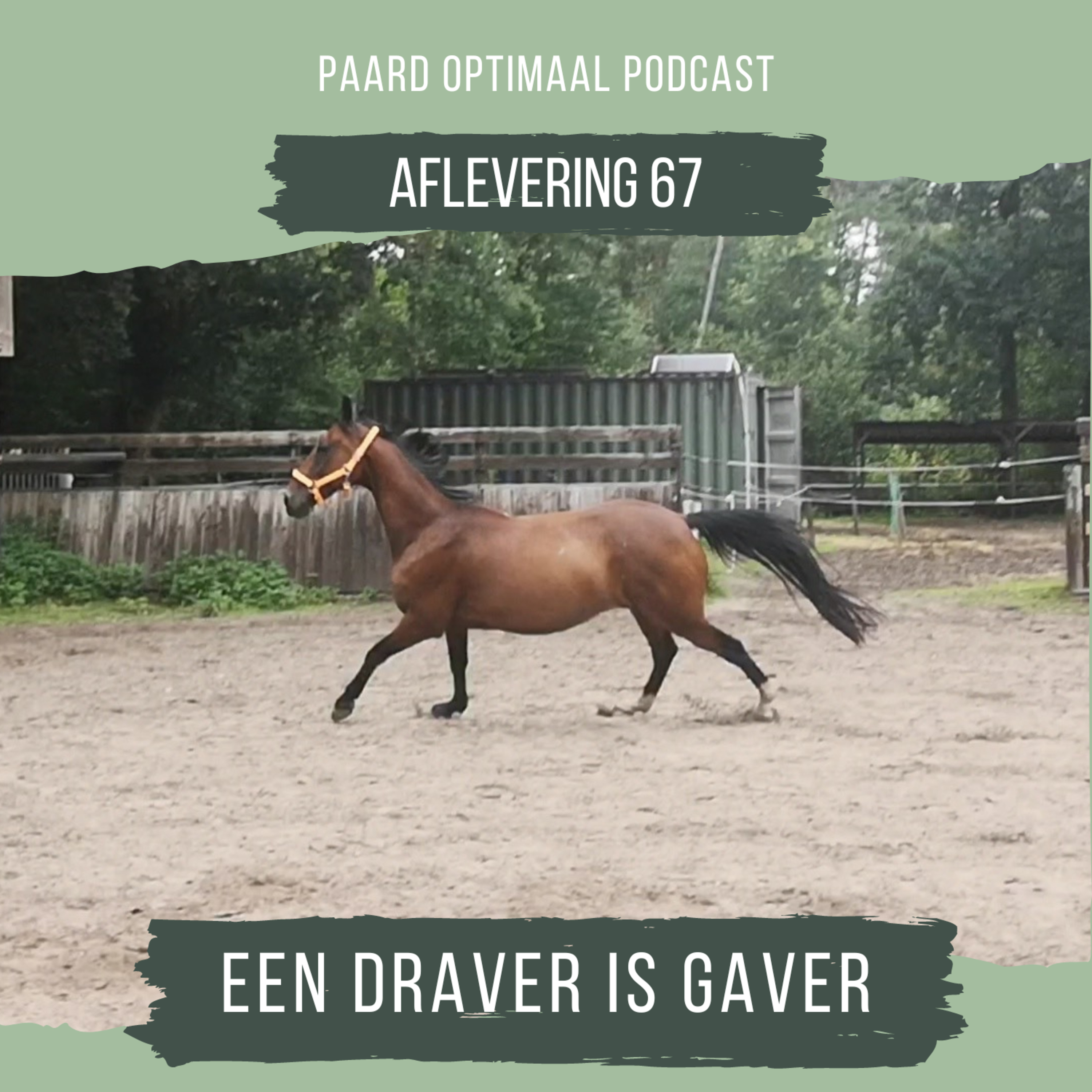Paard Optimaal Podcast
