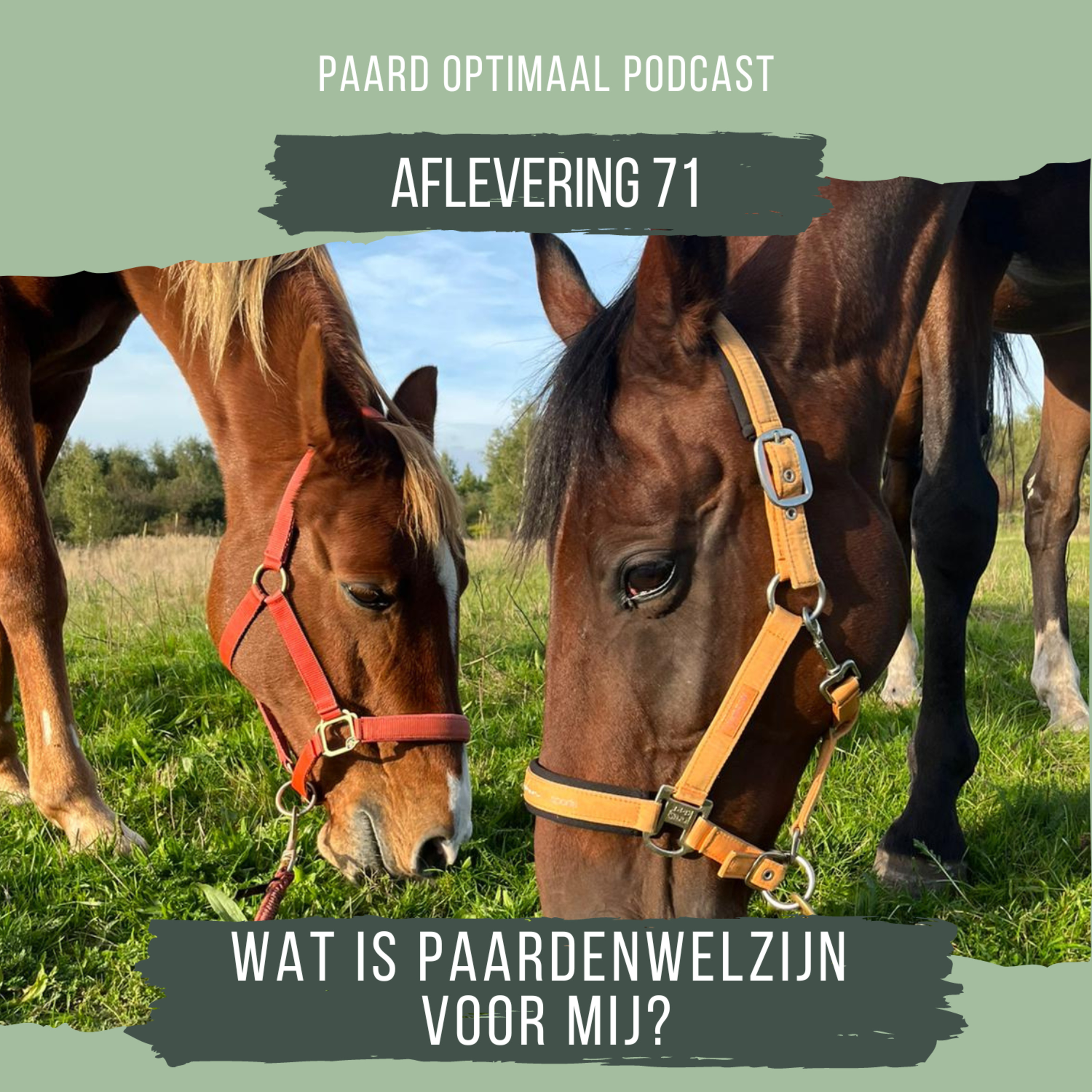 Paard Optimaal Podcast