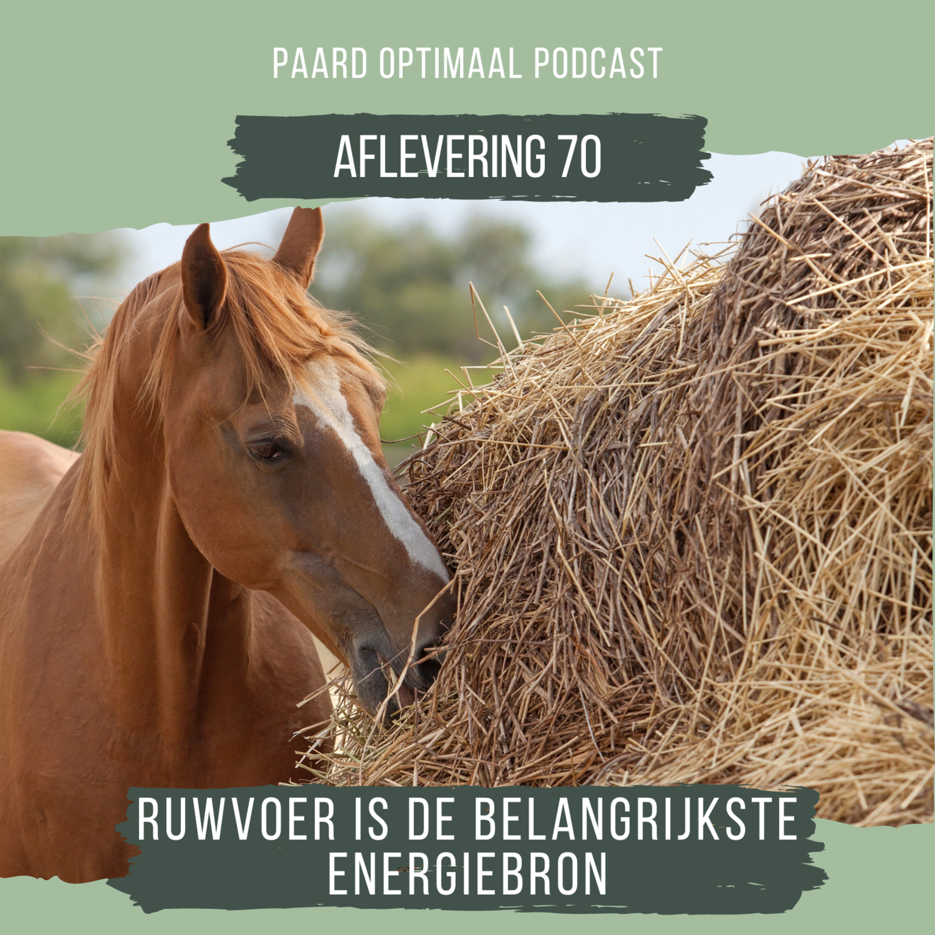 Paard Optimaal Podcast