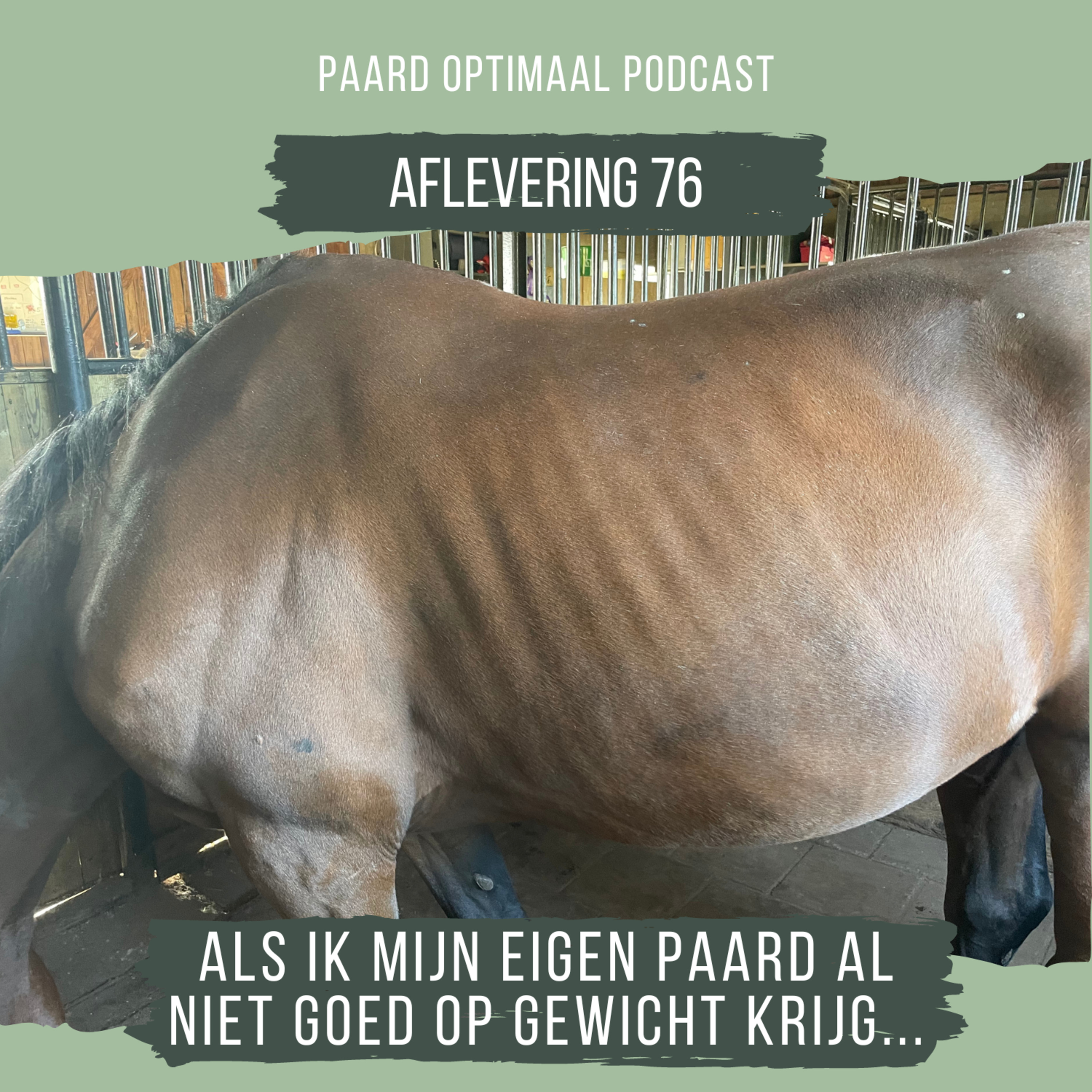 Paard Optimaal Podcast