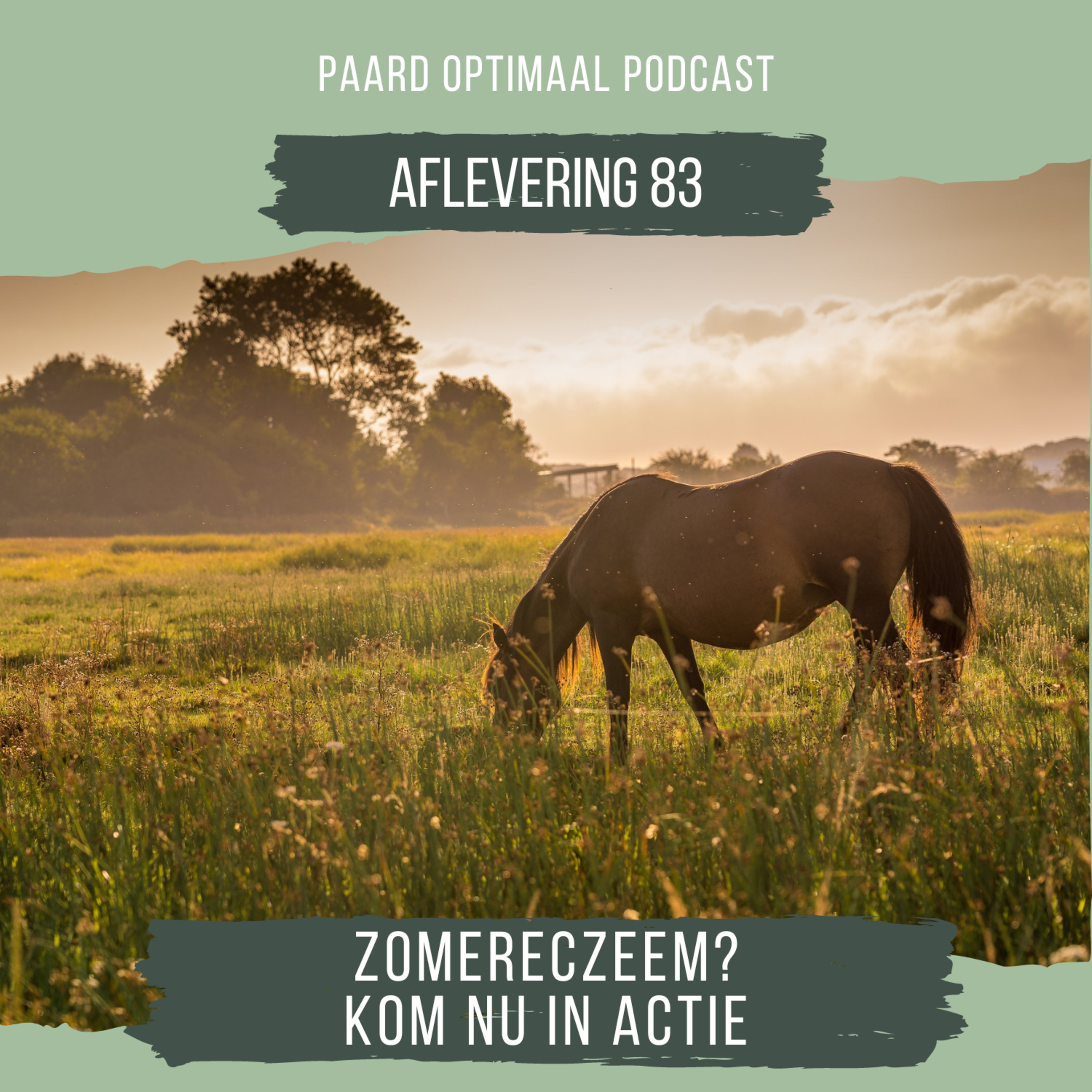 Paard Optimaal Podcast
