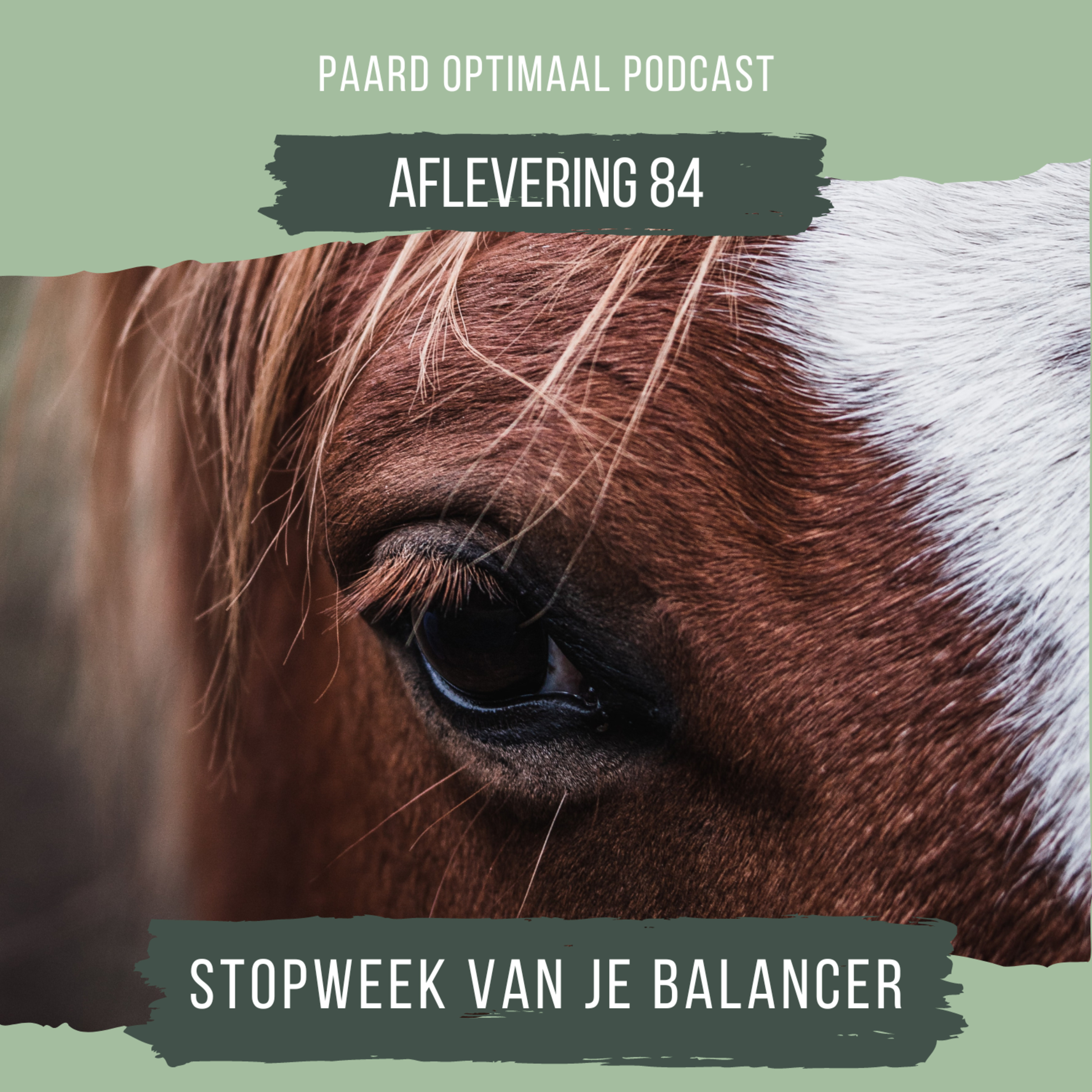 Paard Optimaal Podcast