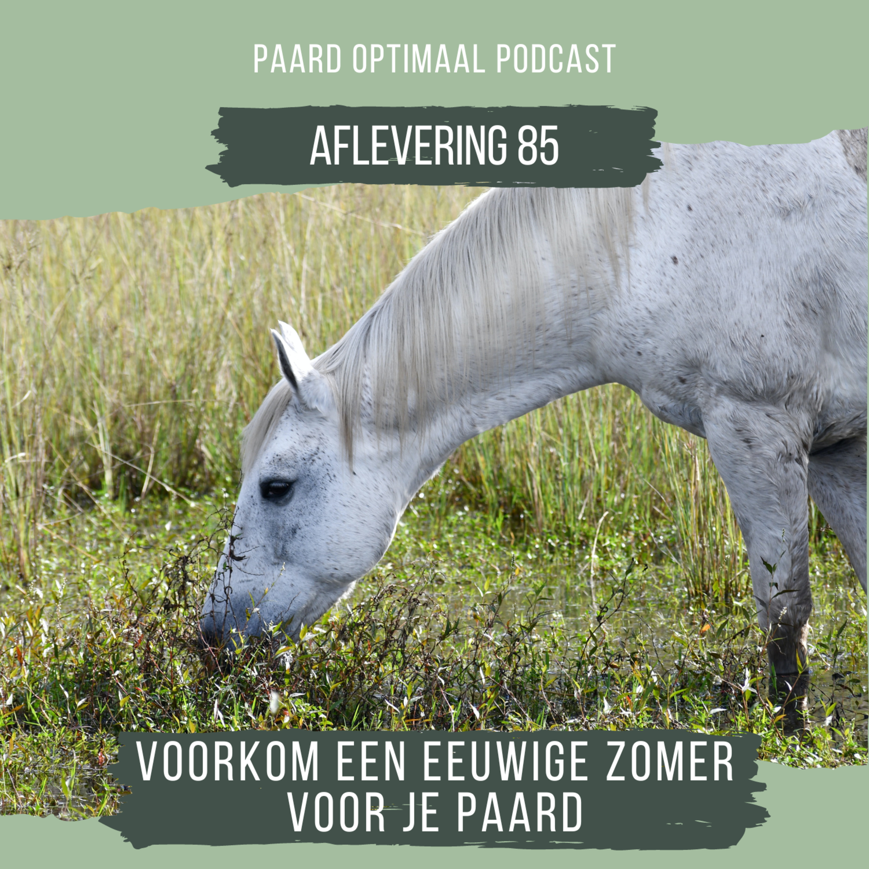 Paard Optimaal Podcast