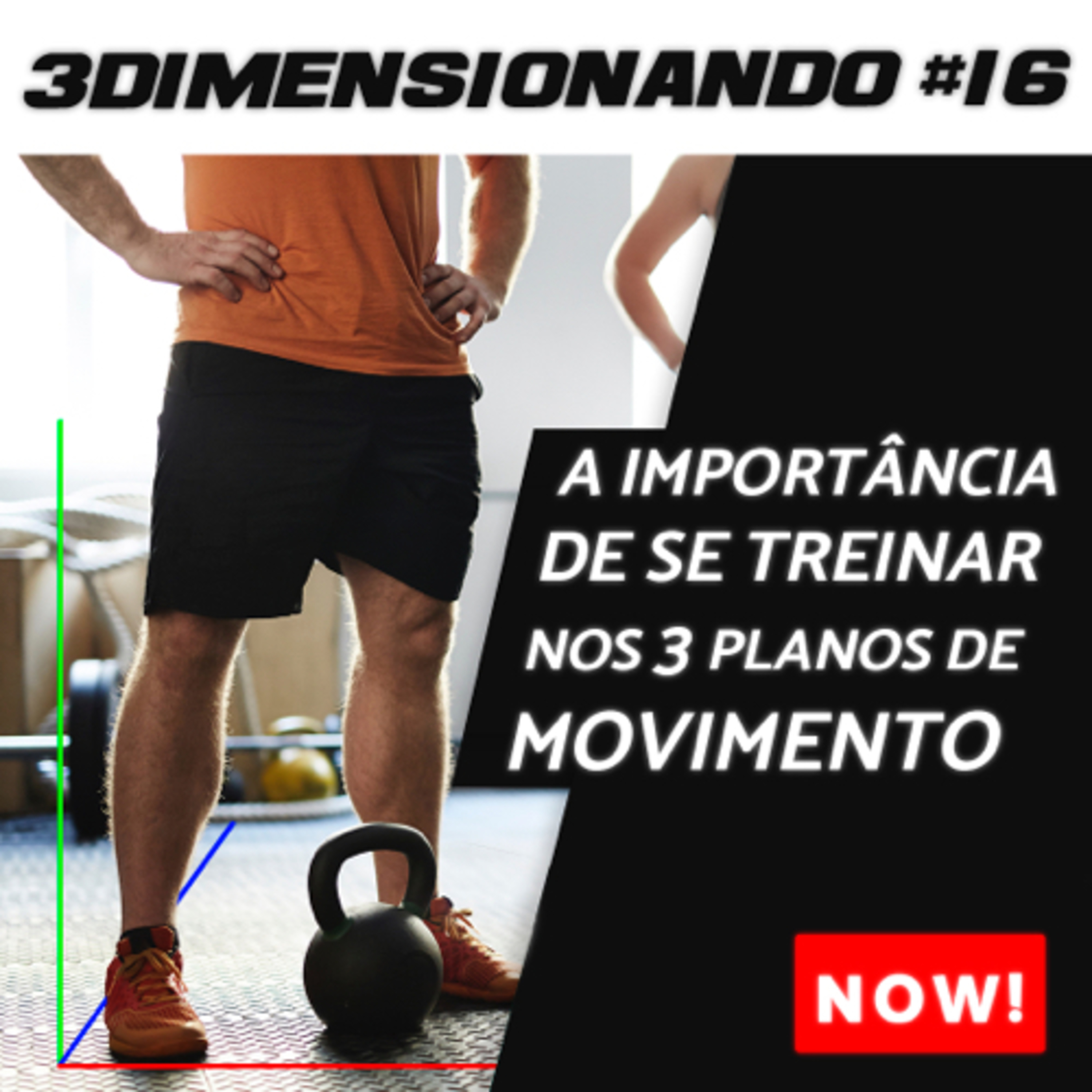 3Dimensionando - O primeiro podcast de treinamento tridimensional