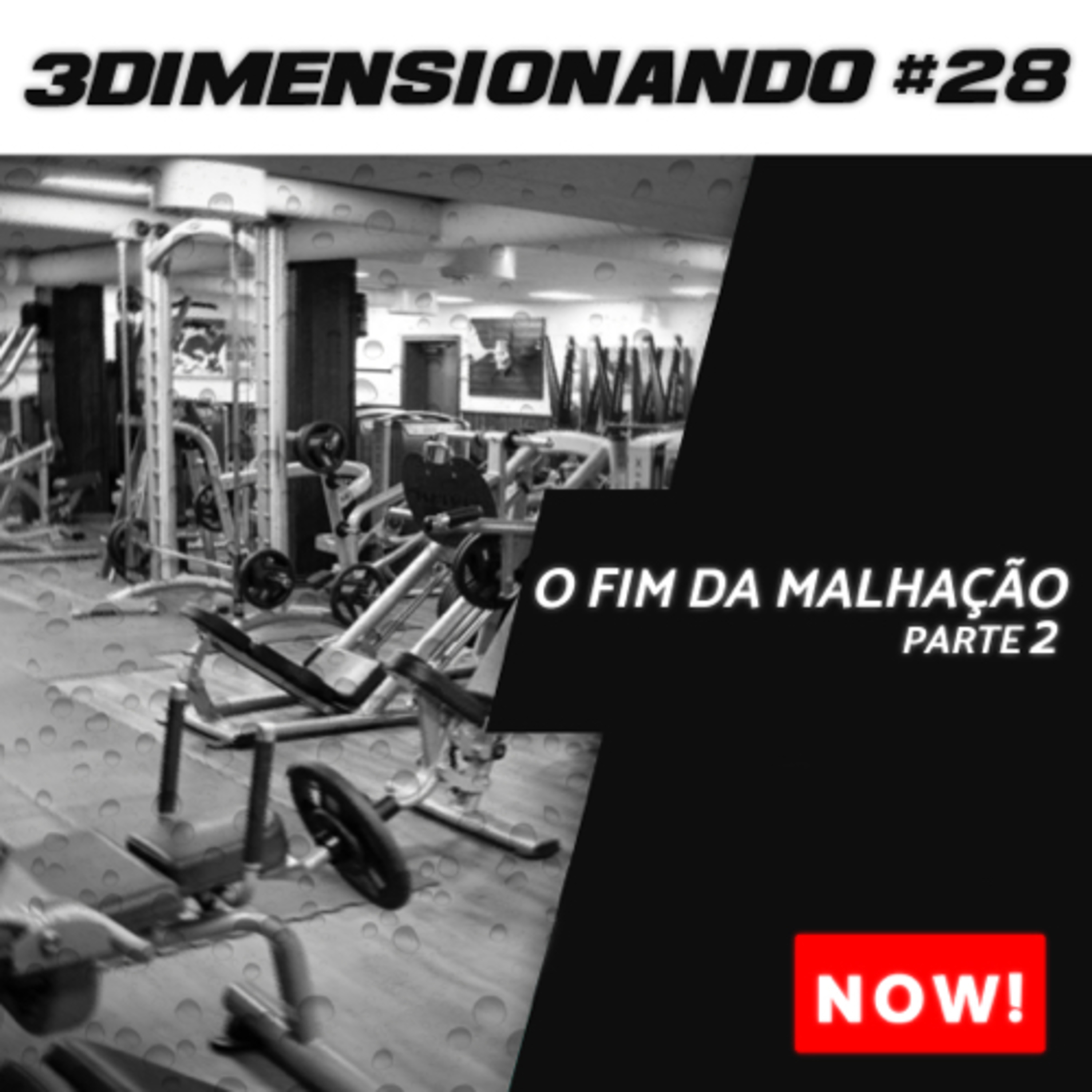 3Dimensionando - O primeiro podcast de treinamento tridimensional