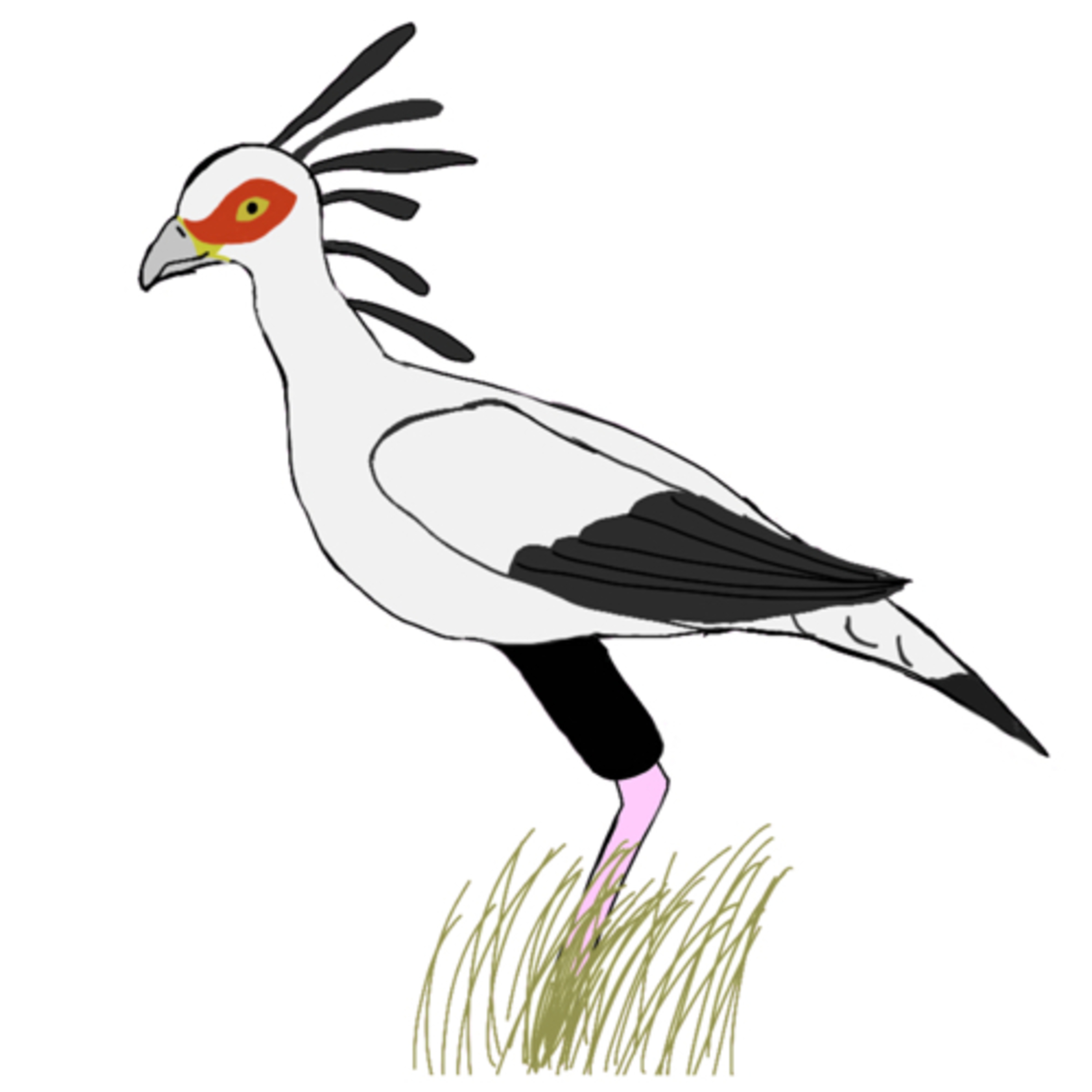 Ep5 sunny secretary birds episode artwork