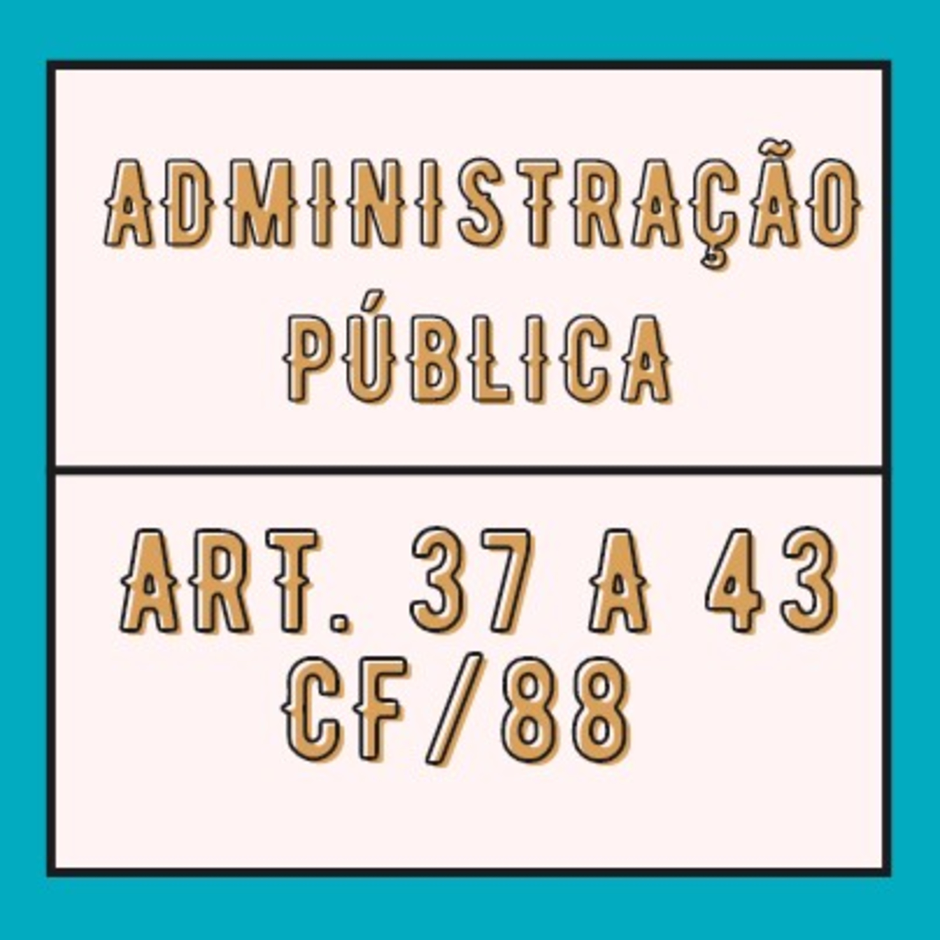 Administração Pública Art. 37 a 43 CF/88 episode artwork