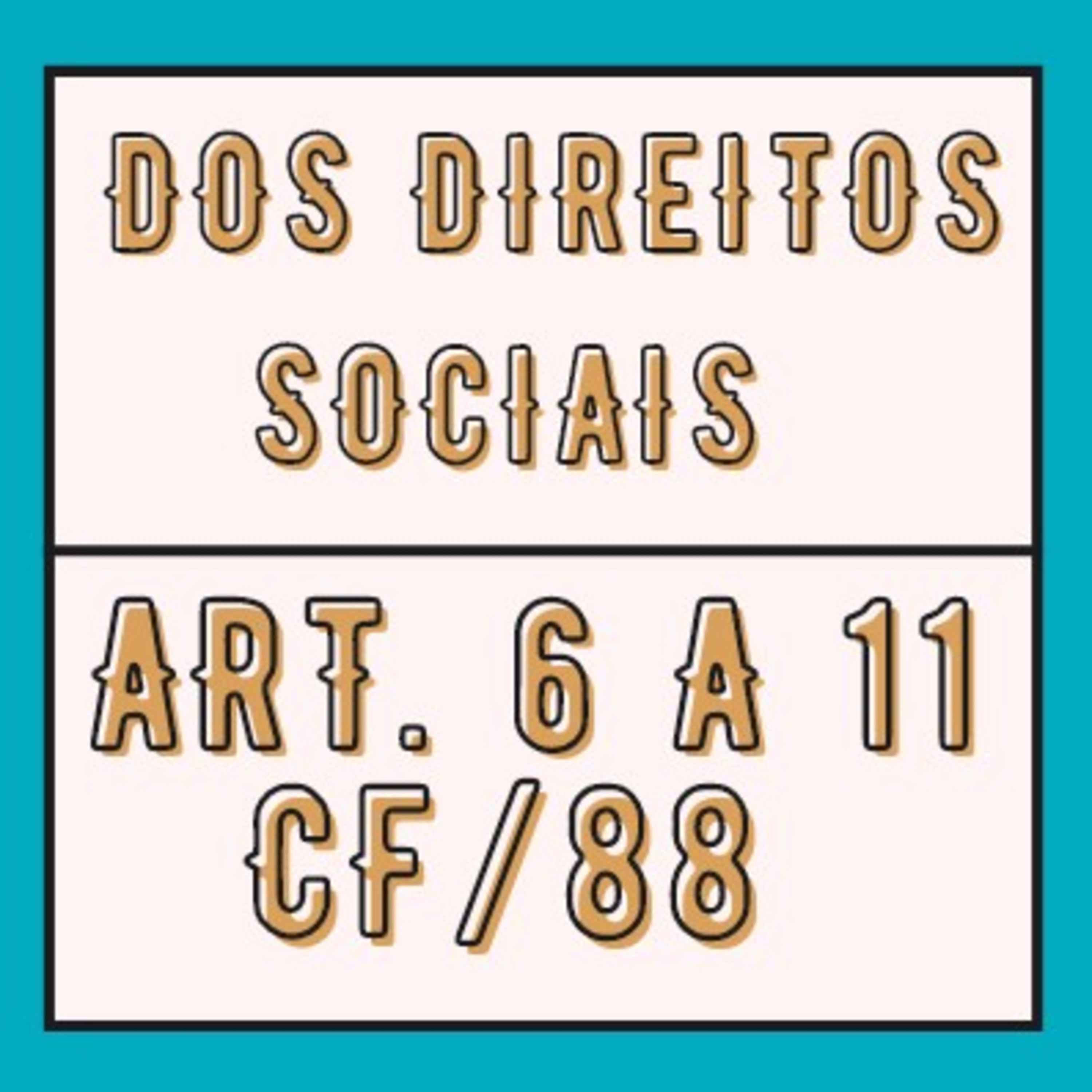Dos Direitos Sociais Art. 6° a 11 CF/88 episode artwork