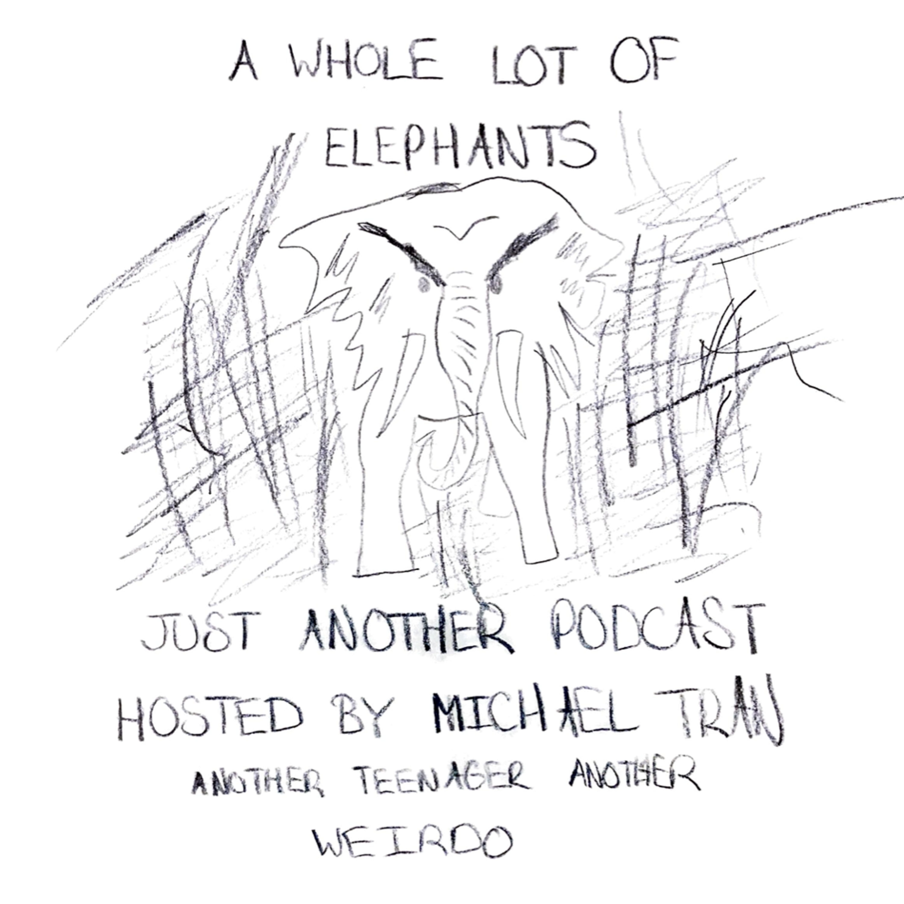 A Whole Lot of Elephants