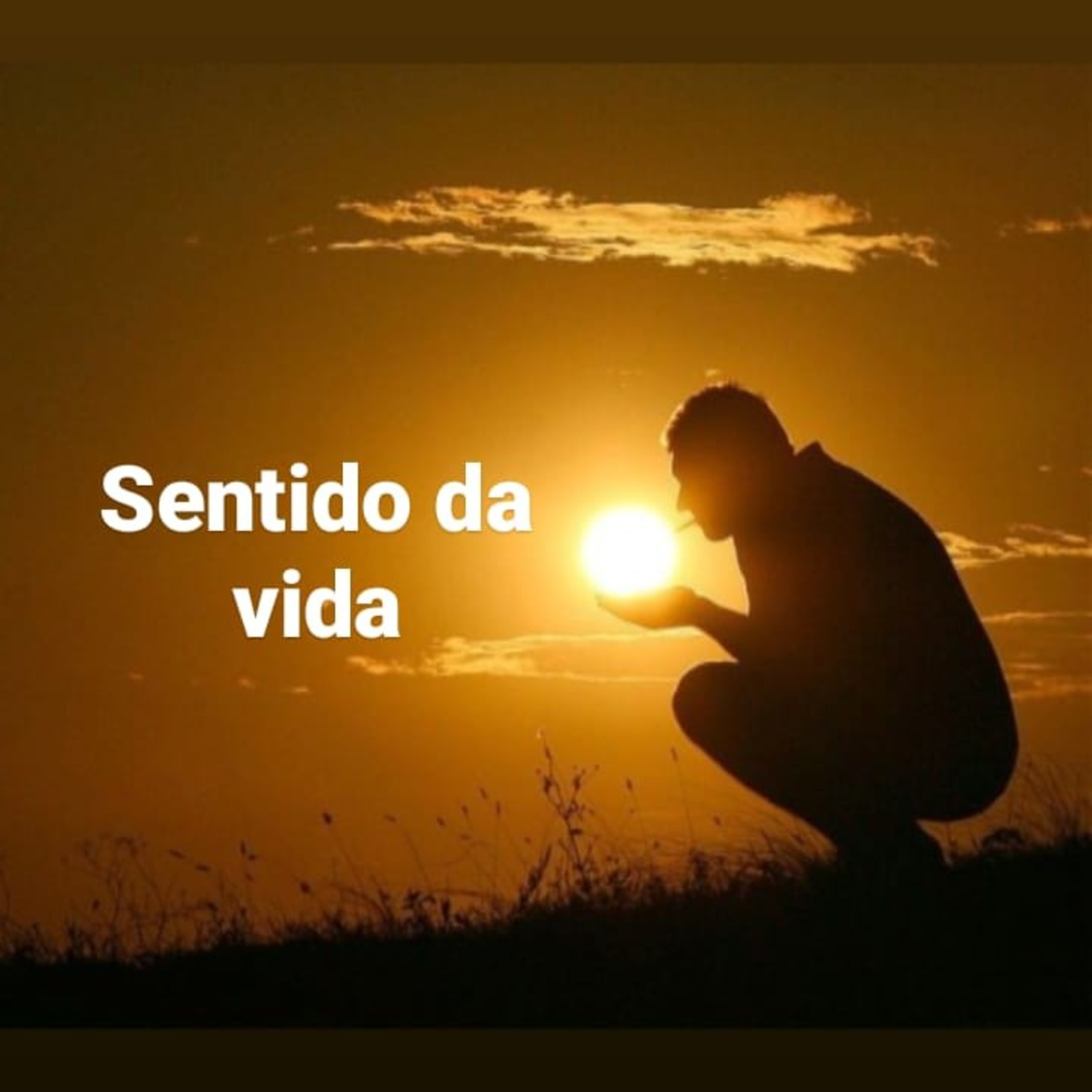 Sentido da vida episode artwork