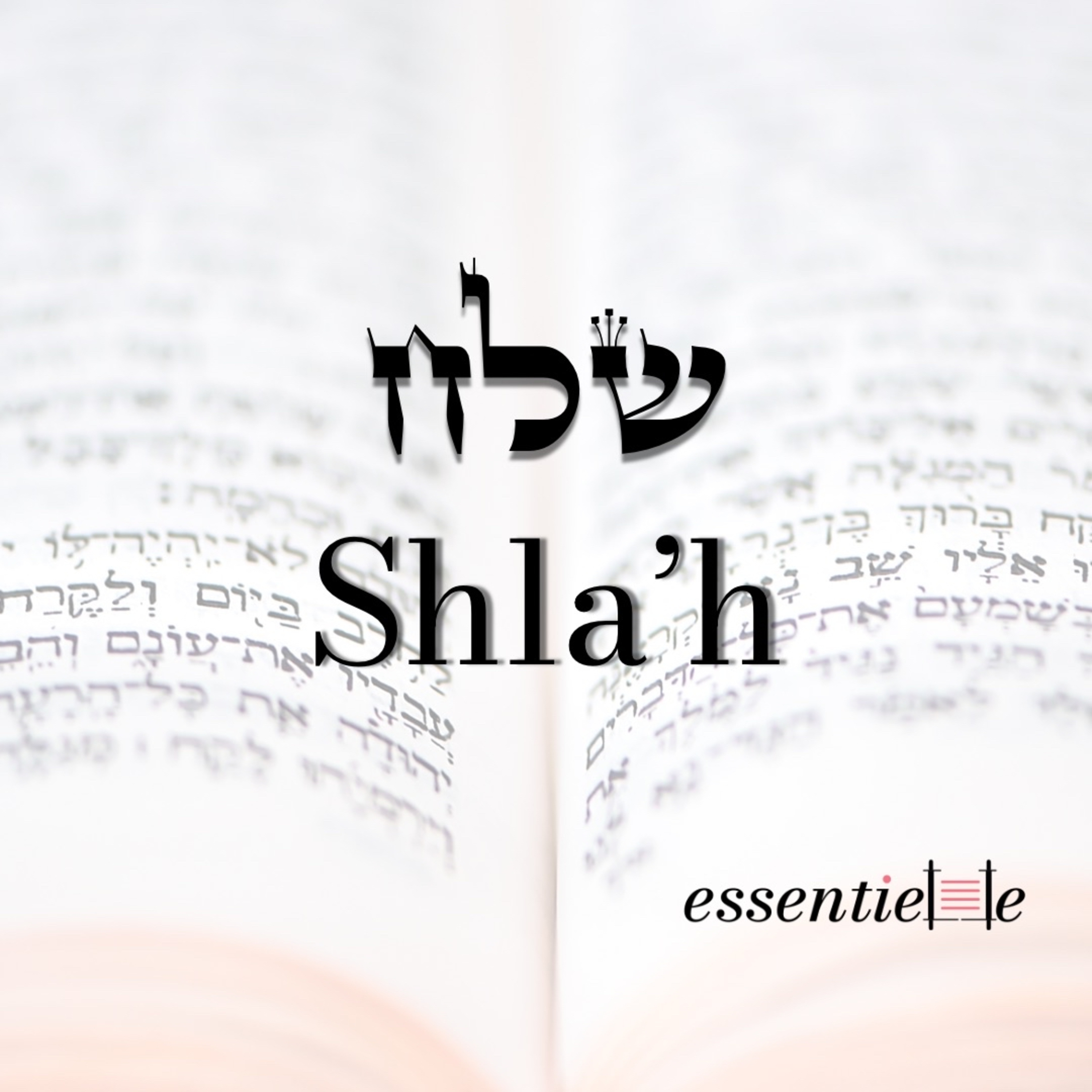 5781 - Shlah’ Leh’a - Reliés à l’essentiel episode artwork