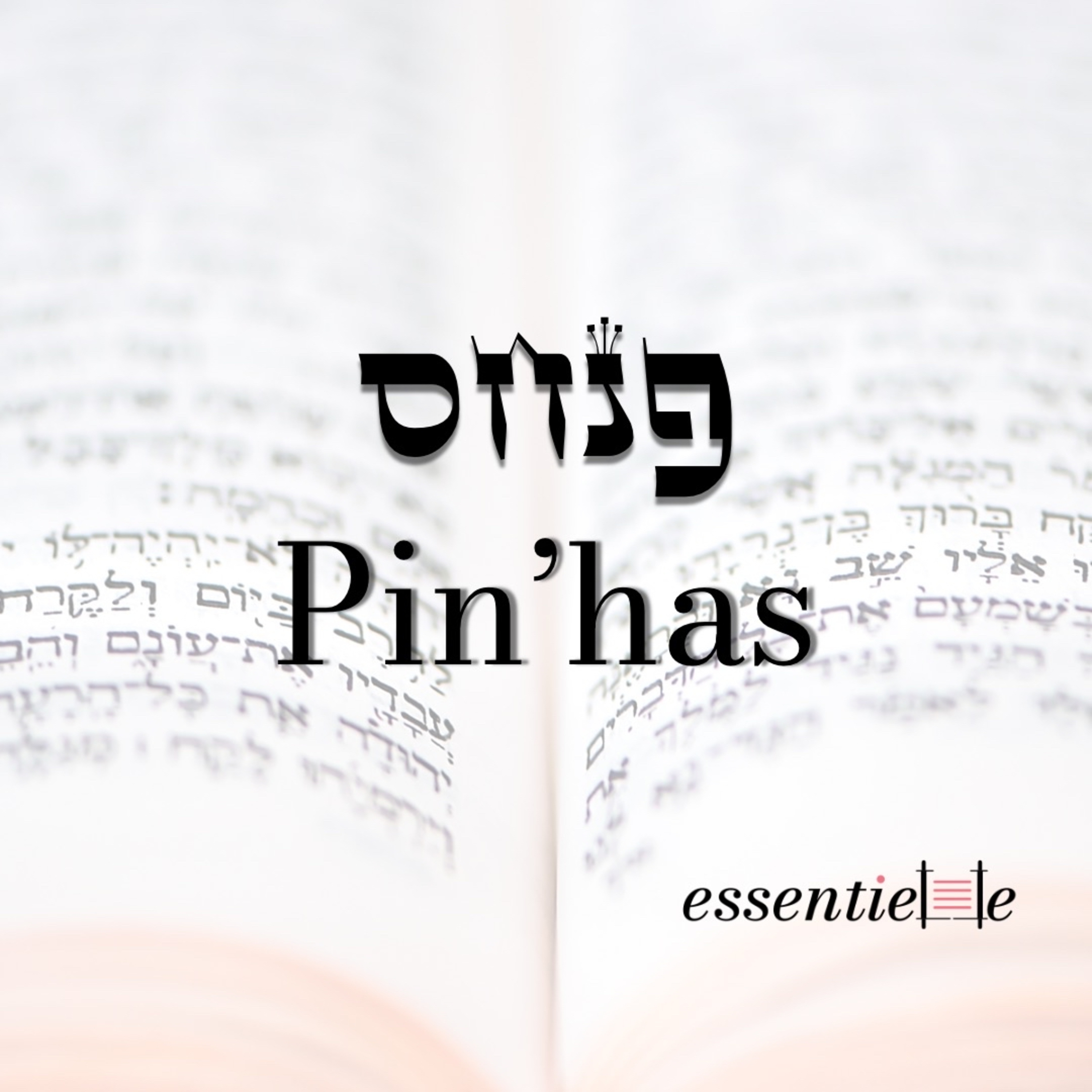 5781 - Pinhas - Le féminisme biblique  episode artwork