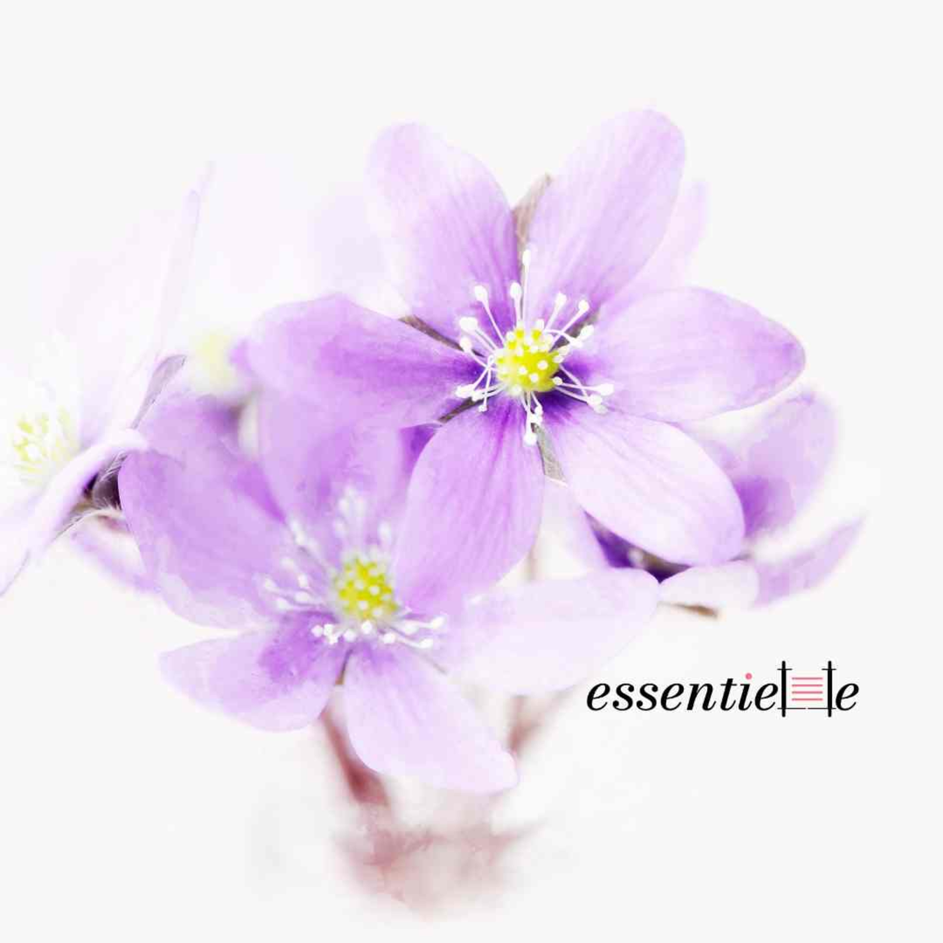 essentielle by Mariacha Drai