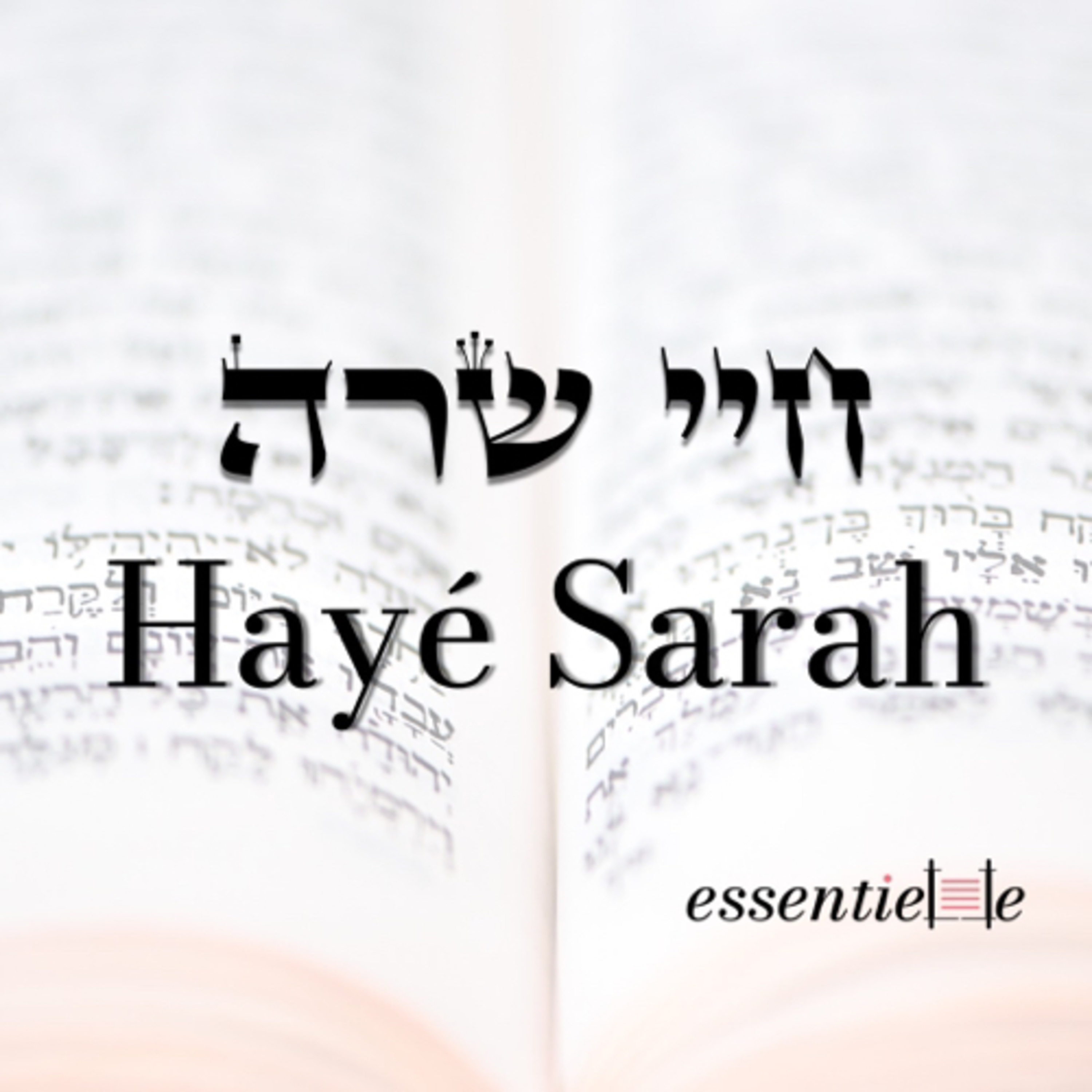 5782 - Hayé Sarah - Comment fabrique-t-on un couple ? episode artwork