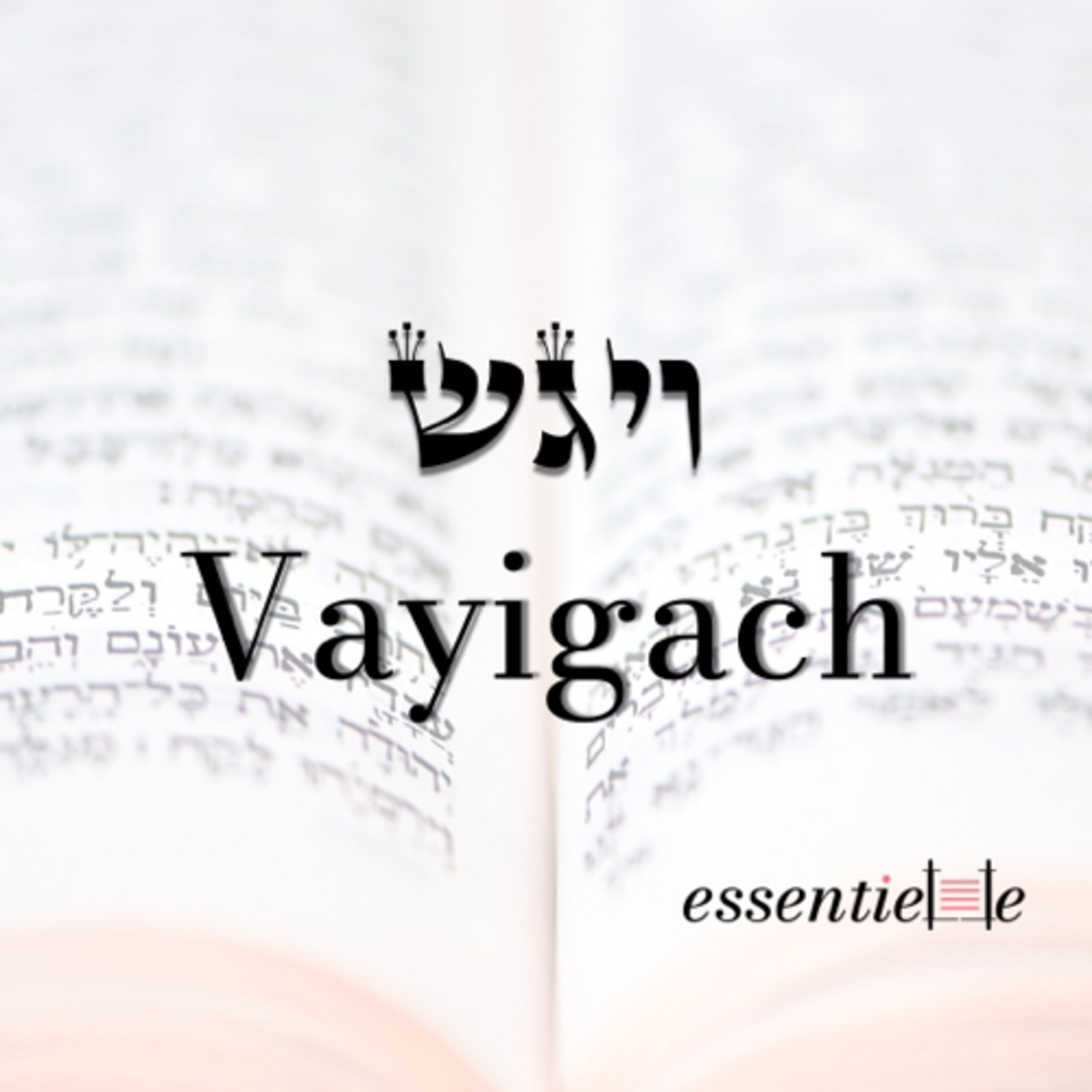 5782 - Vayigach - Apprendre à pardonner episode artwork