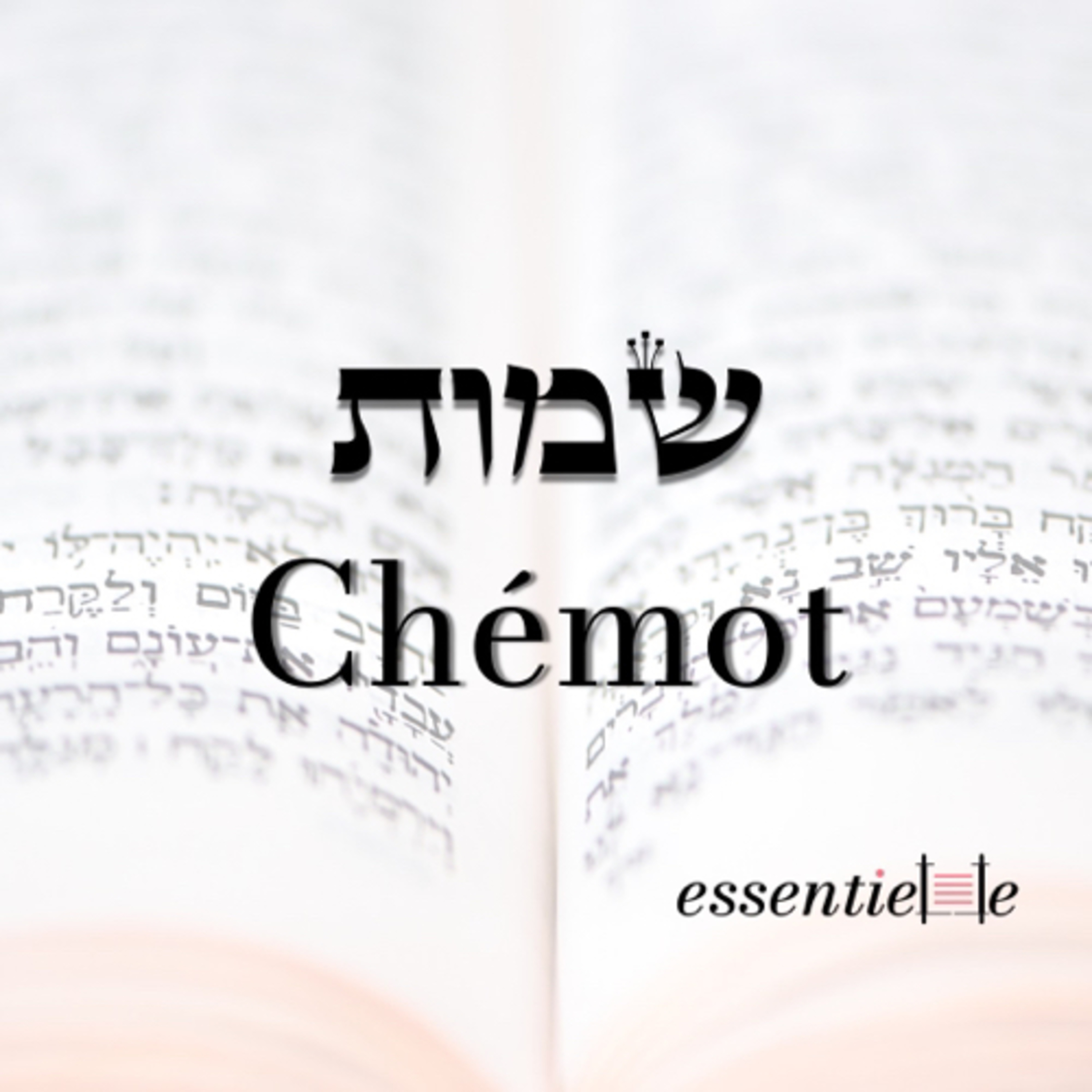 5782 - Chémot - Une vie de paradoxes episode artwork