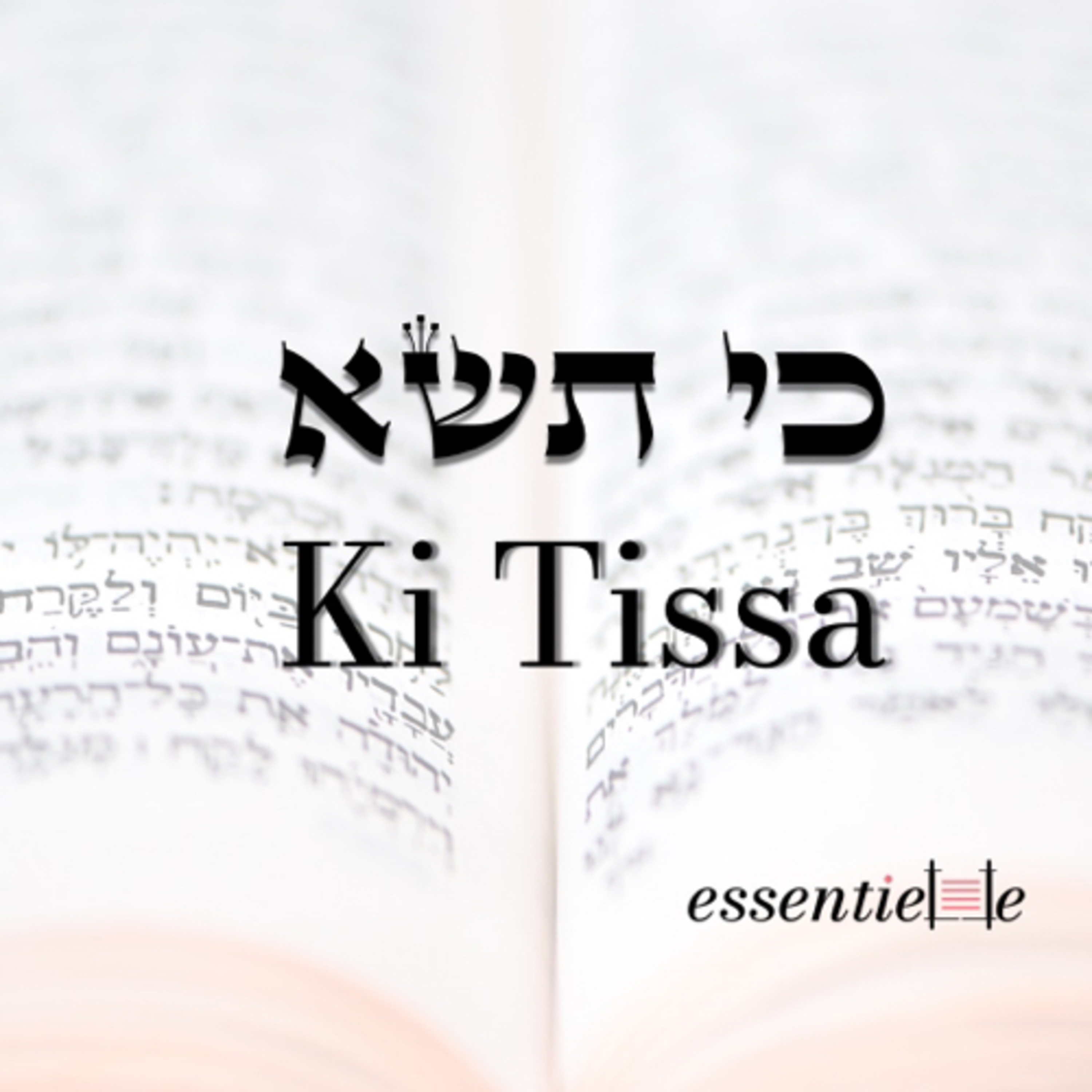 5782 - Ki Tissa - Élever et s'élever episode artwork