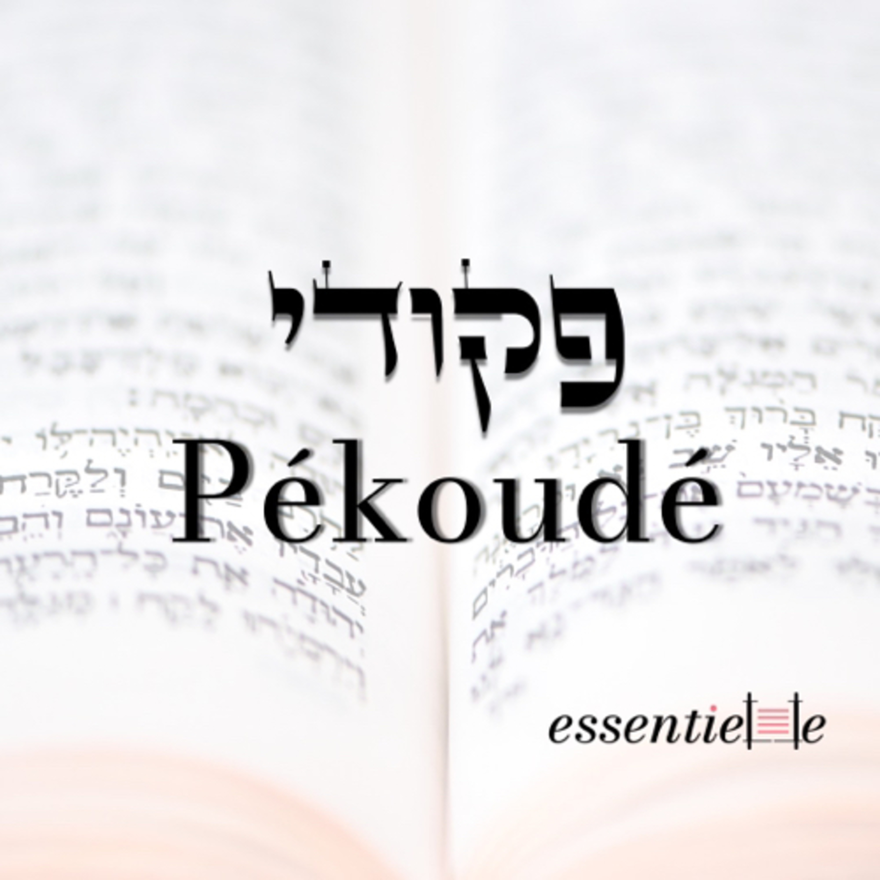 5782 - Pékoudé - Devenir Estherique plutôt qu'hystérique episode artwork