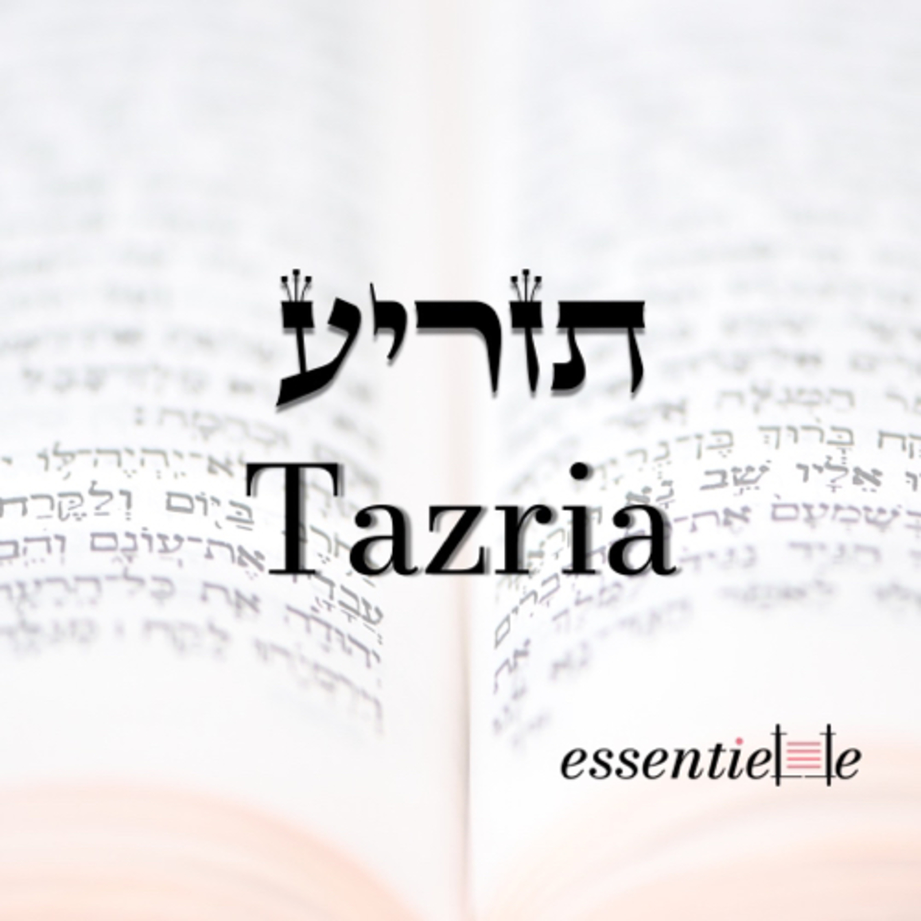 5782 - Tazria - Libérer sa force créatrice episode artwork