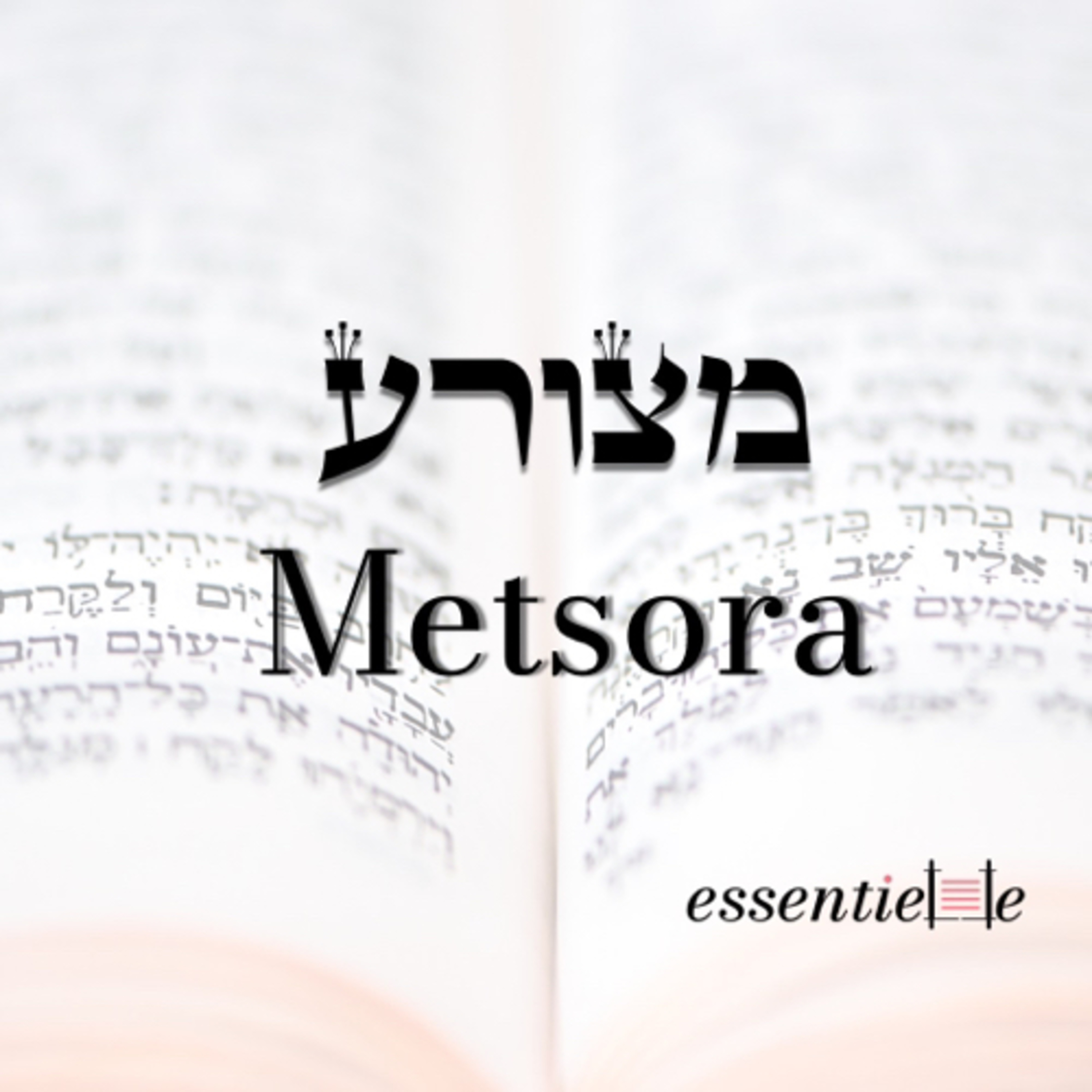 5782 - Metsora - Comment raconter sa story ? episode artwork