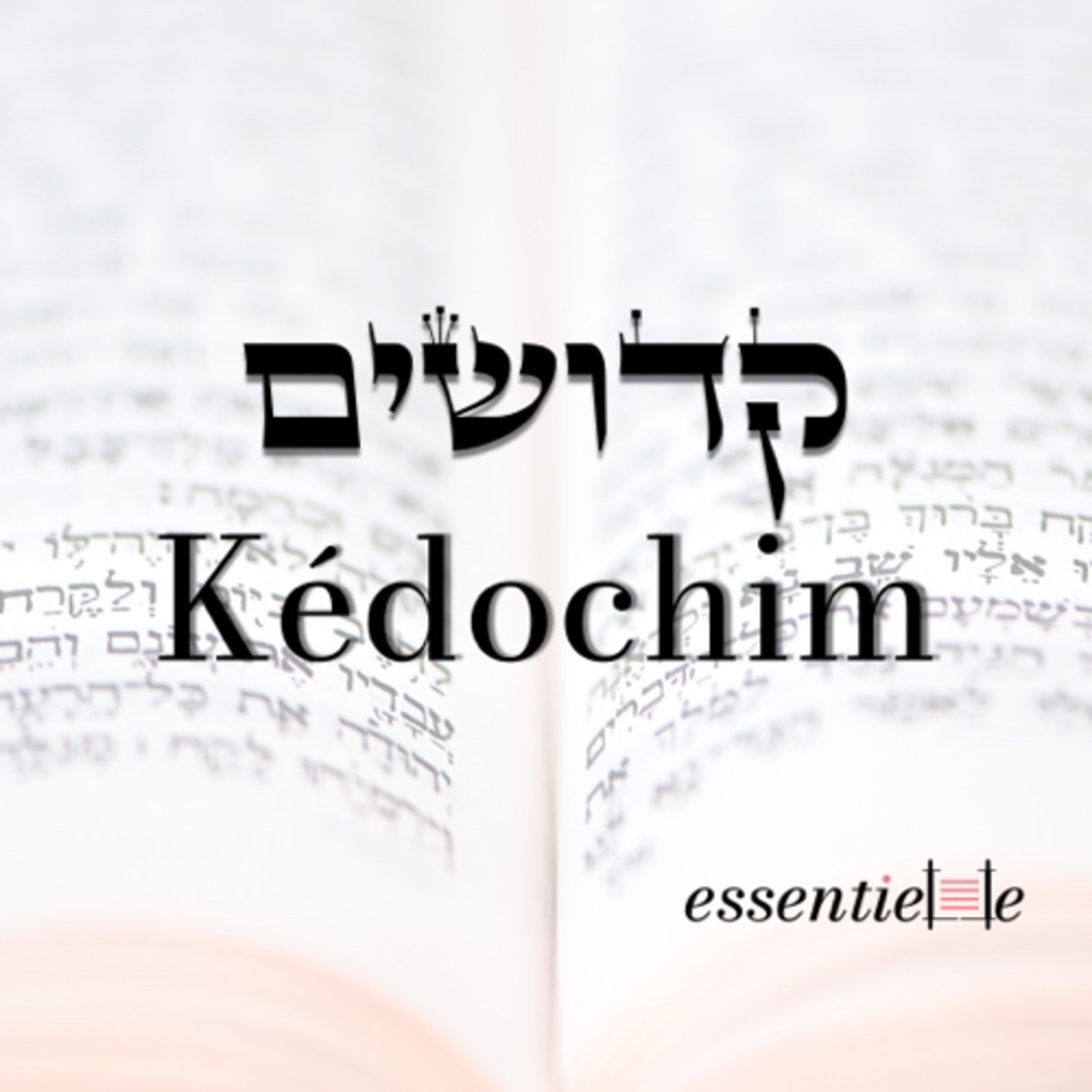 5782 - Kédochim - L’unité sans uniformité episode artwork